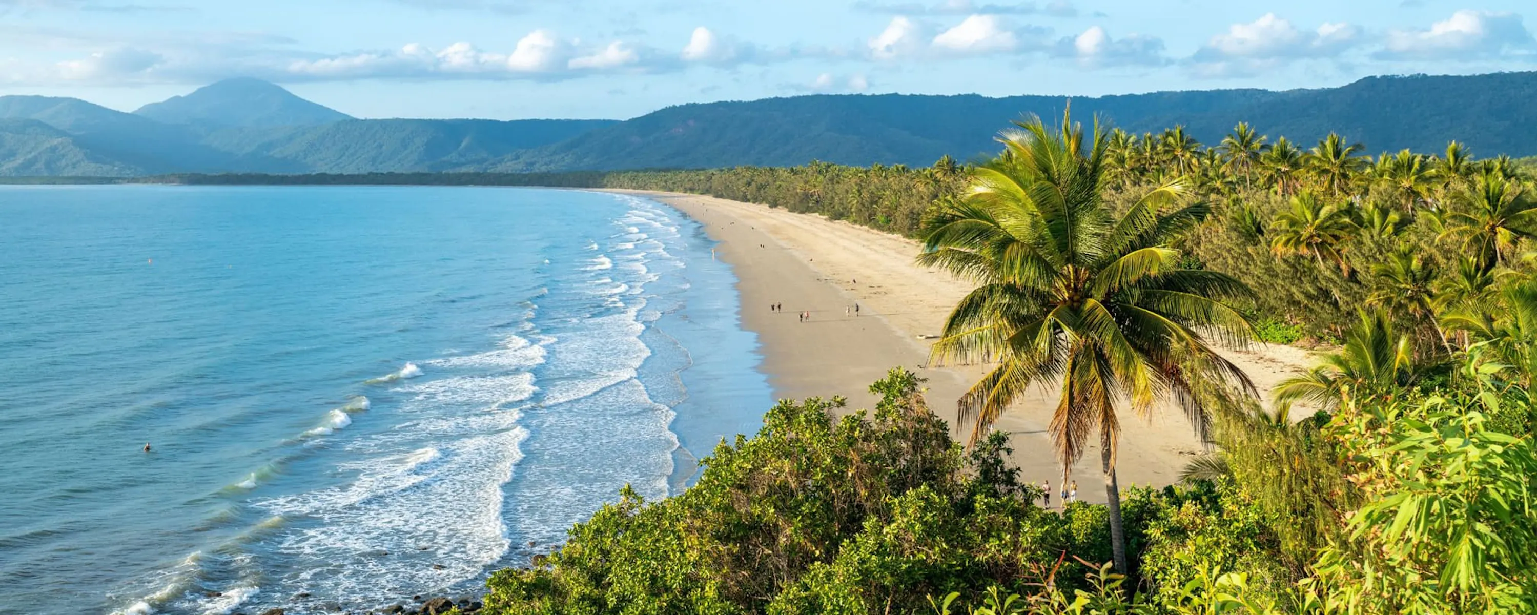 A tropical coastline with palms and a safari vehicle lookout against the backdrop of Queensland, Australia.
