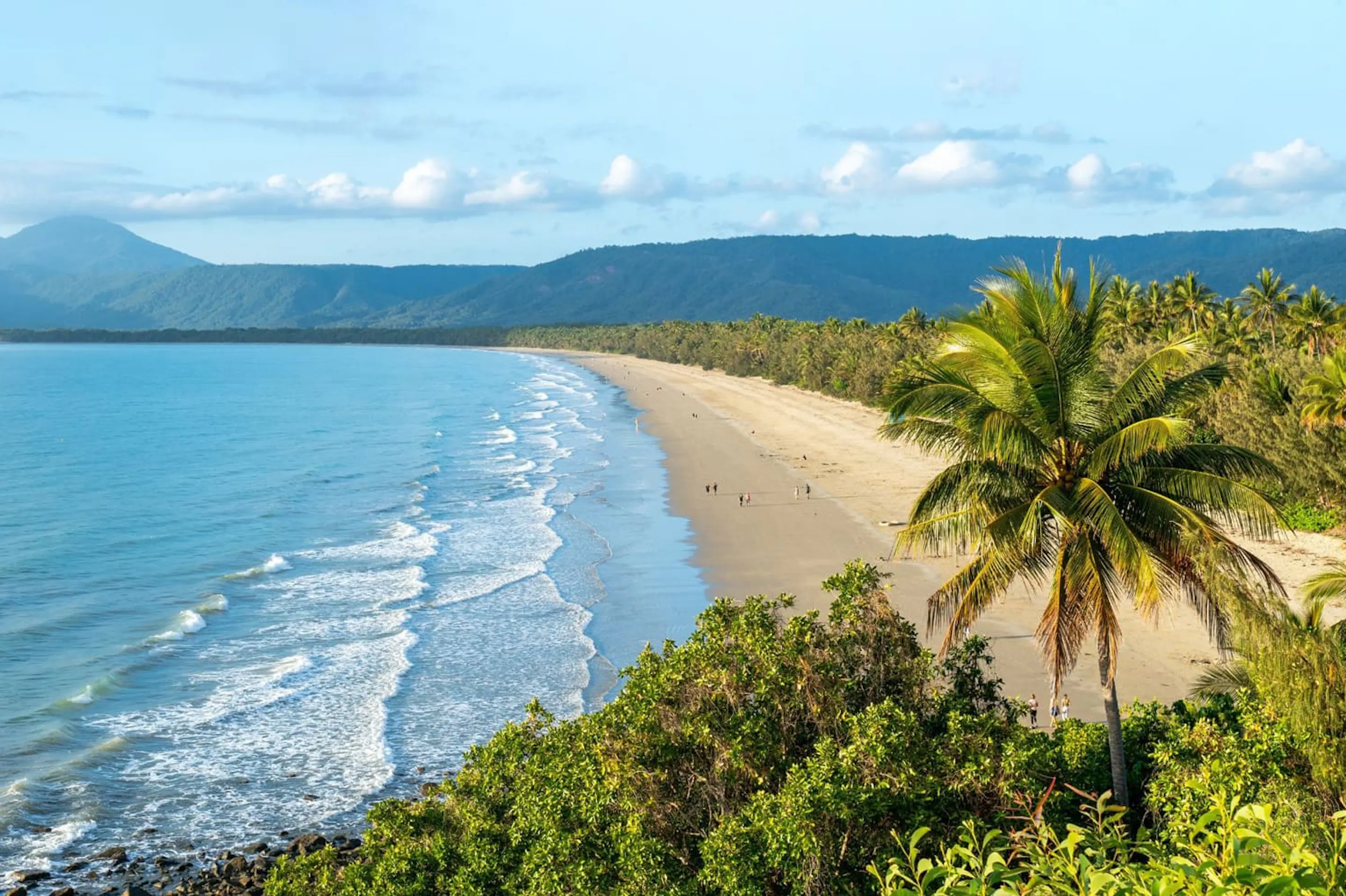 A tropical coastline with palms and a safari vehicle lookout against the backdrop of Queensland, Australia.