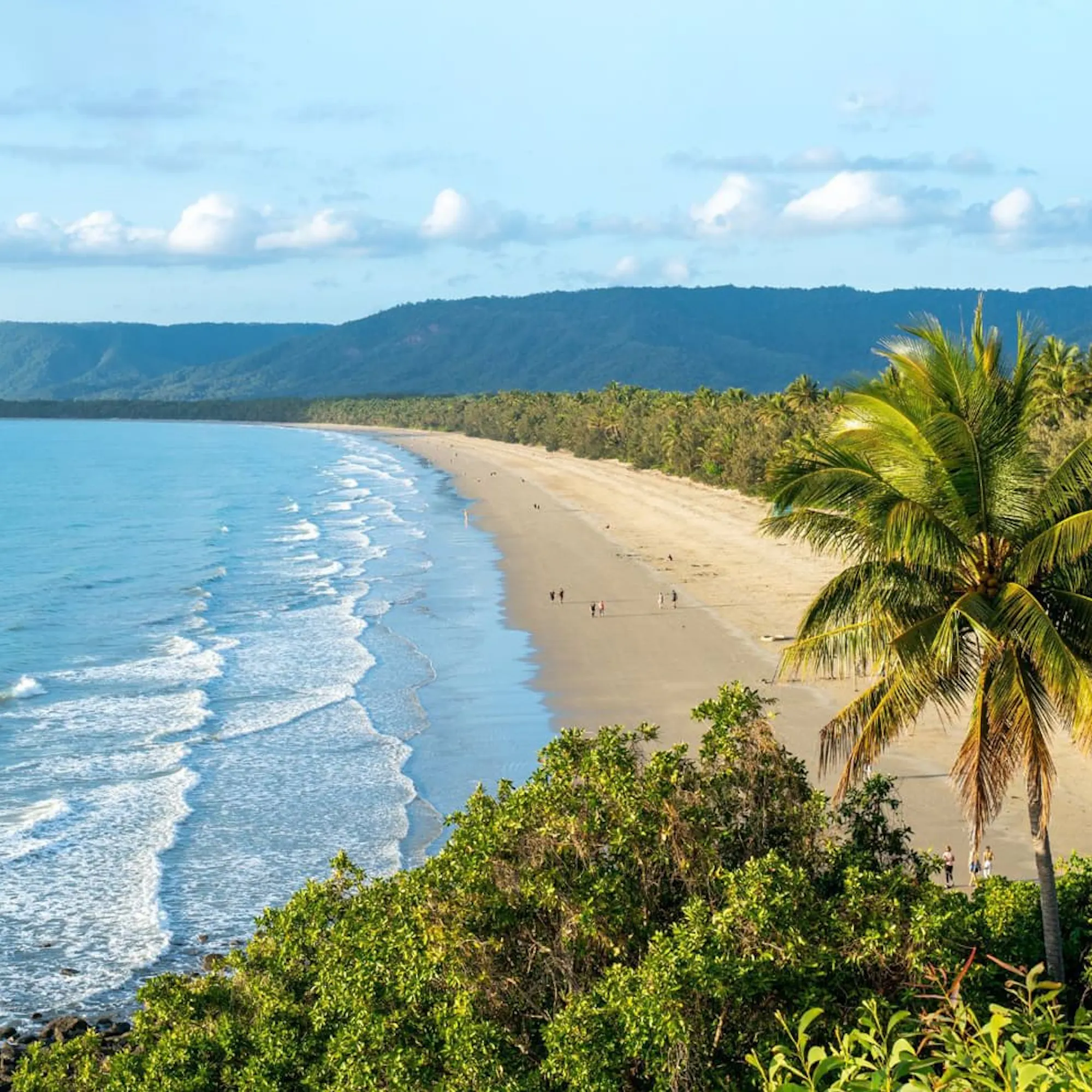 A tropical coastline with palms and a safari vehicle lookout against the backdrop of Queensland, Australia.