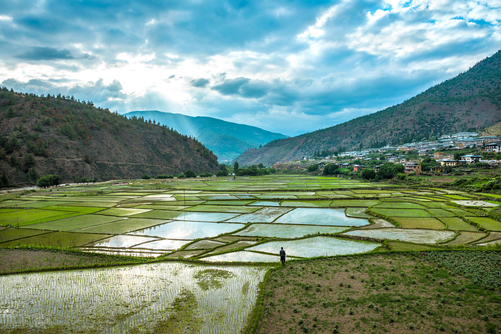 Water-filled rice paddies spread across the Paro Valley below hillside farmhouses and cloud-wrapped Bhutan peaks.