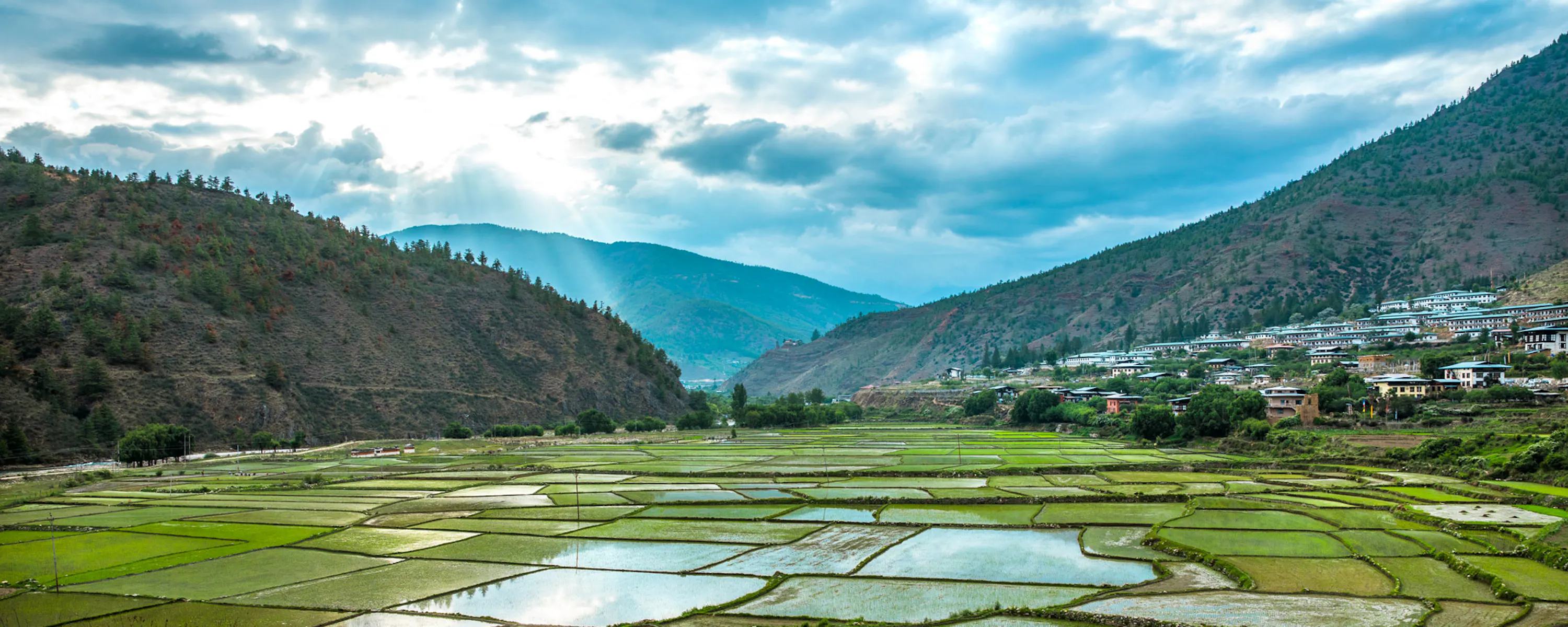Water-filled rice paddies spread across the Paro Valley below hillside farmhouses and cloud-wrapped Bhutan peaks.