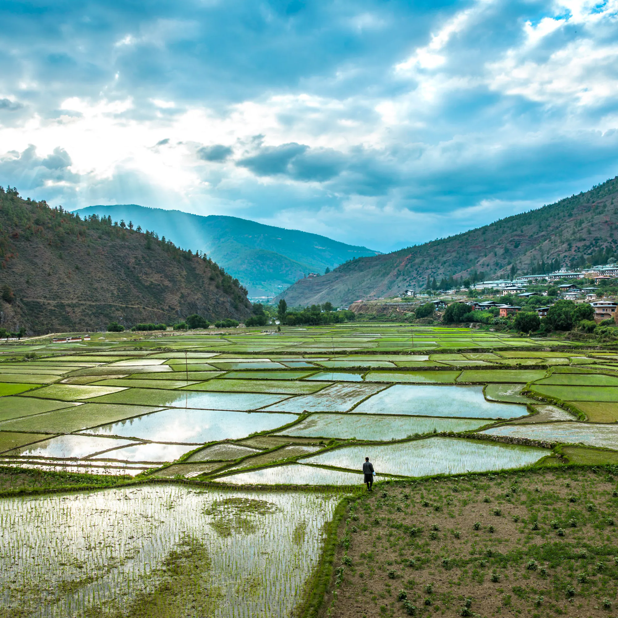 Water-filled rice paddies spread across the Paro Valley below hillside farmhouses and cloud-wrapped Bhutan peaks.