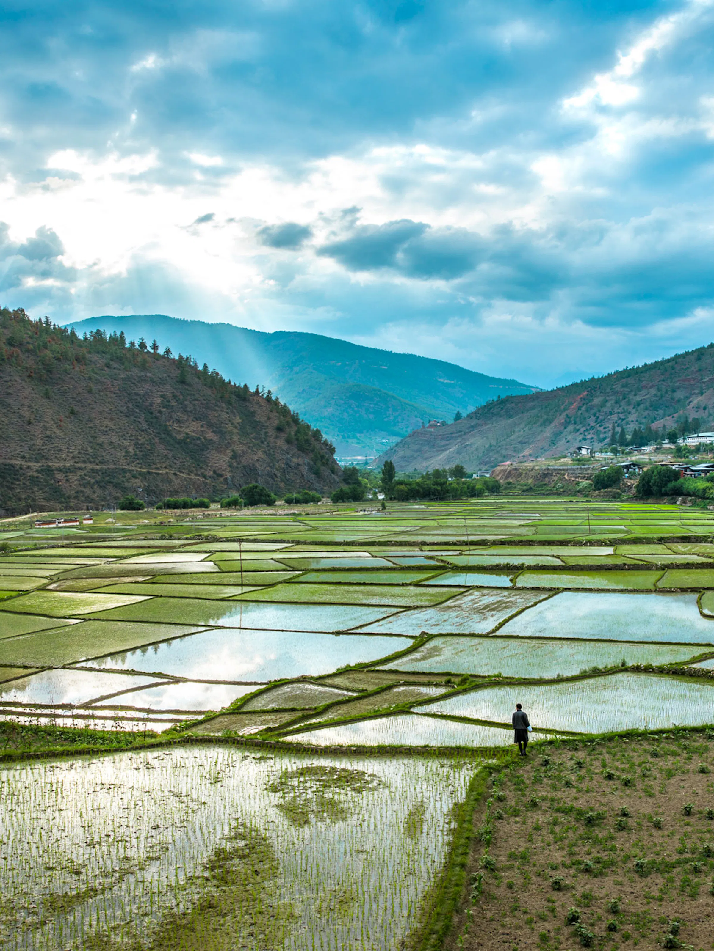 Water-filled rice paddies spread across the Paro Valley below hillside farmhouses and cloud-wrapped Bhutan peaks.