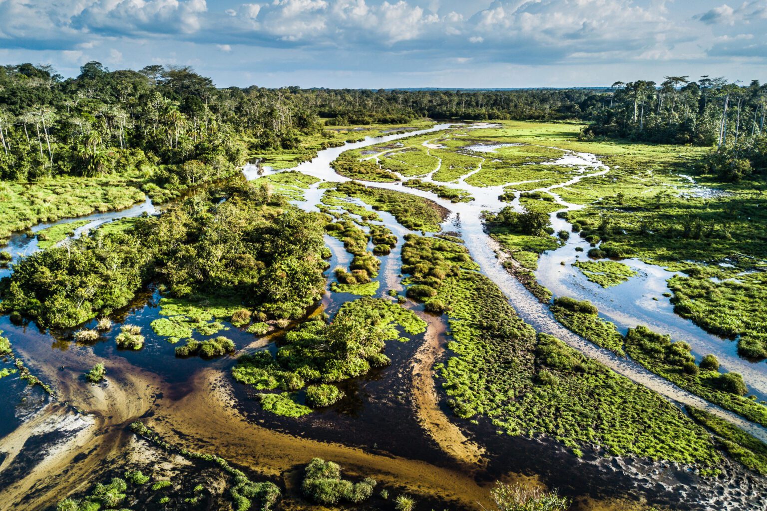 Aerial waterways and forest surround Lango Camp in Odzala, Congo, with flooded channels winding through the trees.