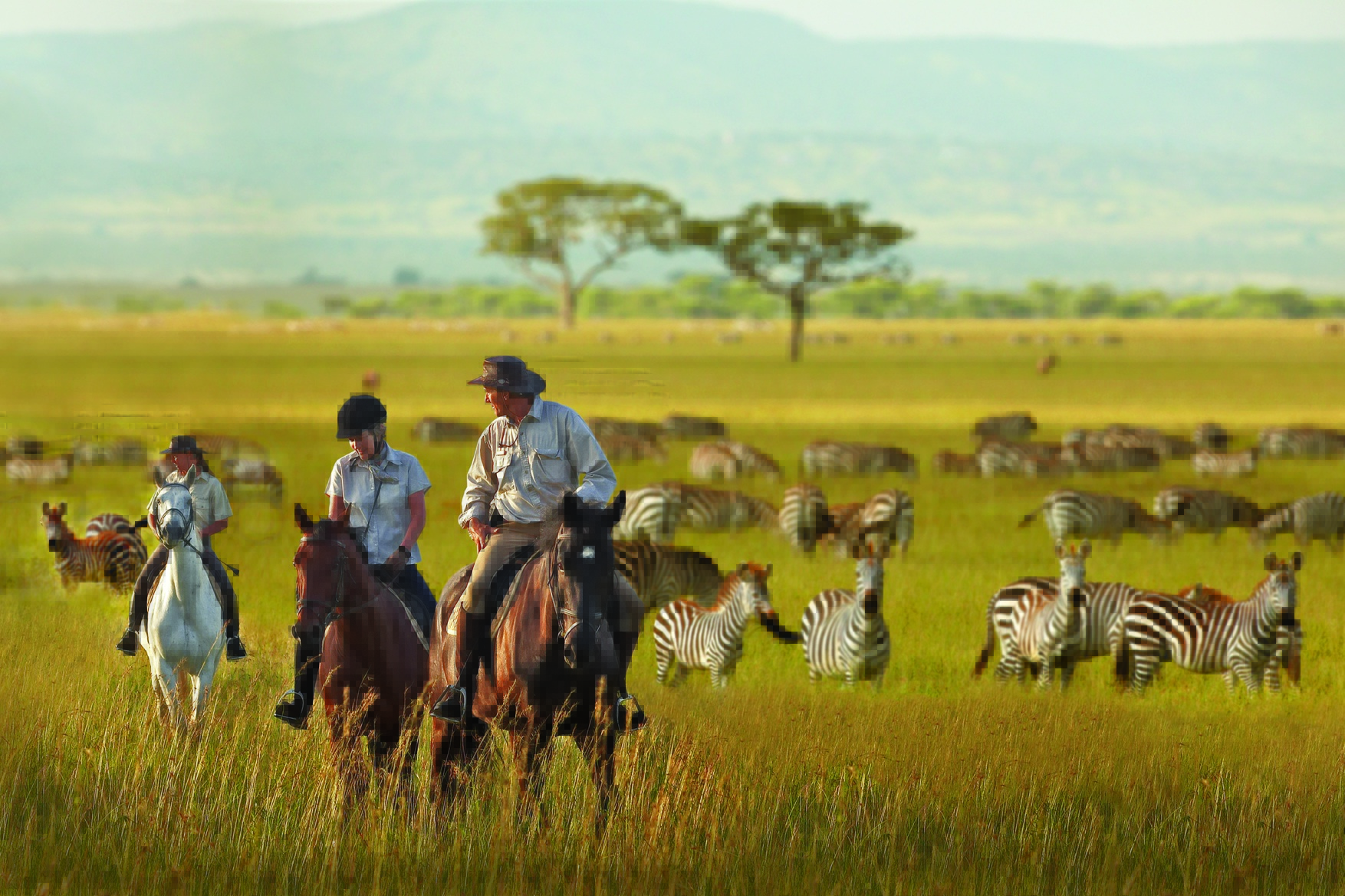 Riders on horseback move among zebra on open grassland in the Serengeti, backed by a stormy evening sky at dusk.