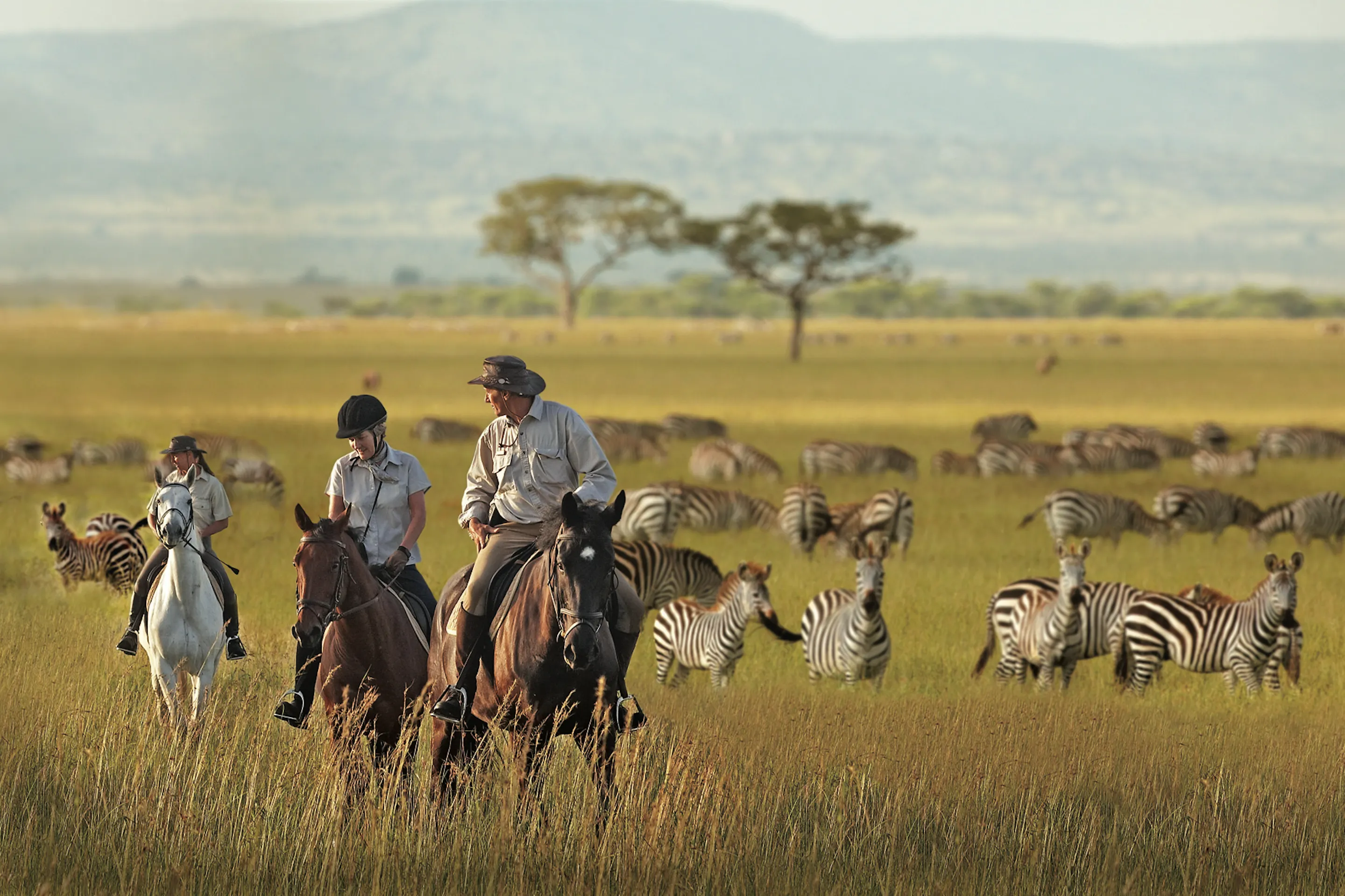 Riders on horseback move among zebra on open grassland in the Serengeti, backed by a stormy evening sky at dusk.