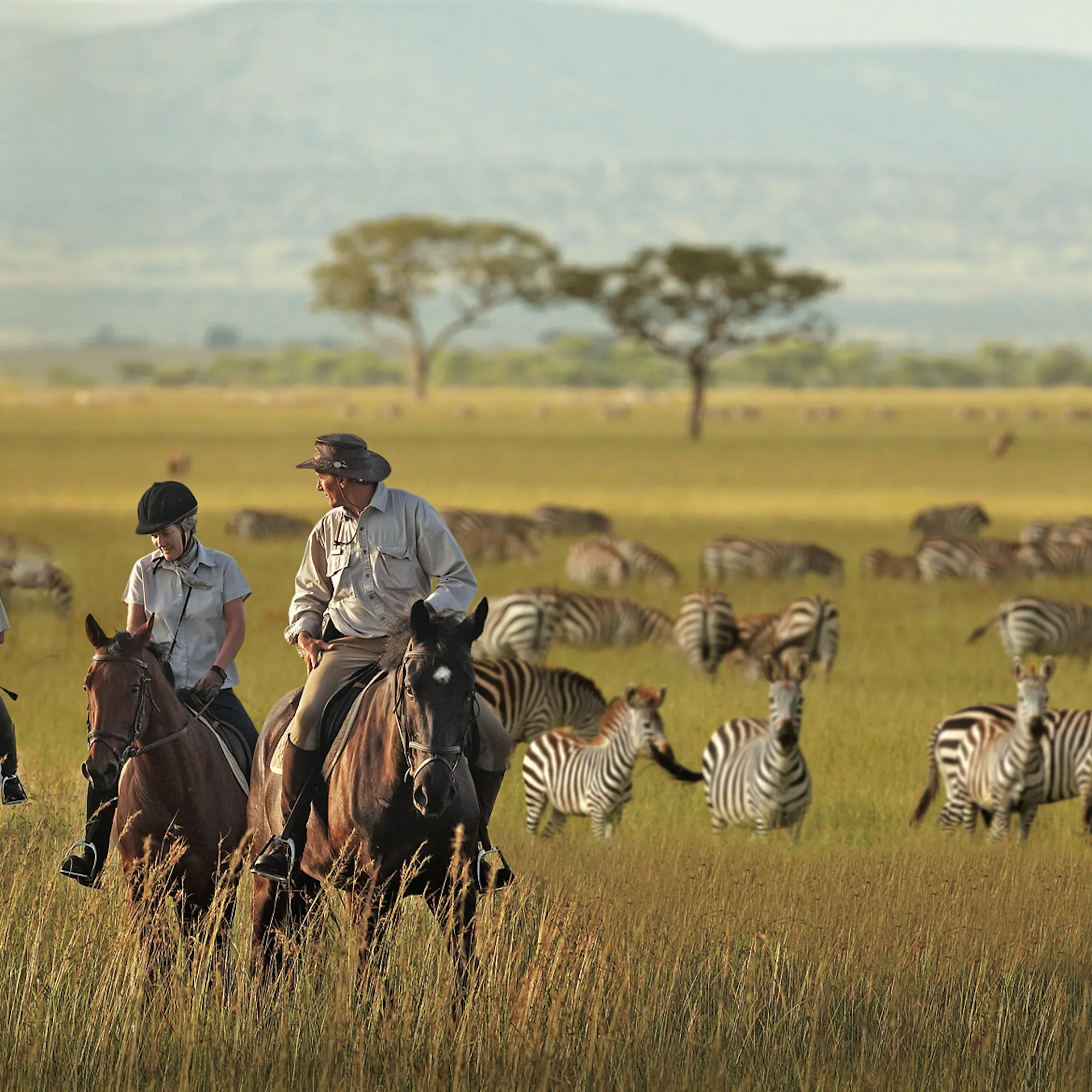 Riders on horseback move among zebra on open grassland in the Serengeti, backed by a stormy evening sky at dusk.