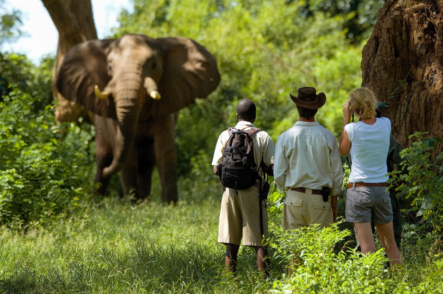 Safari guests watches elephants from a shaded point at Chongwe Camp, with wooded hills beyond the riverbank.