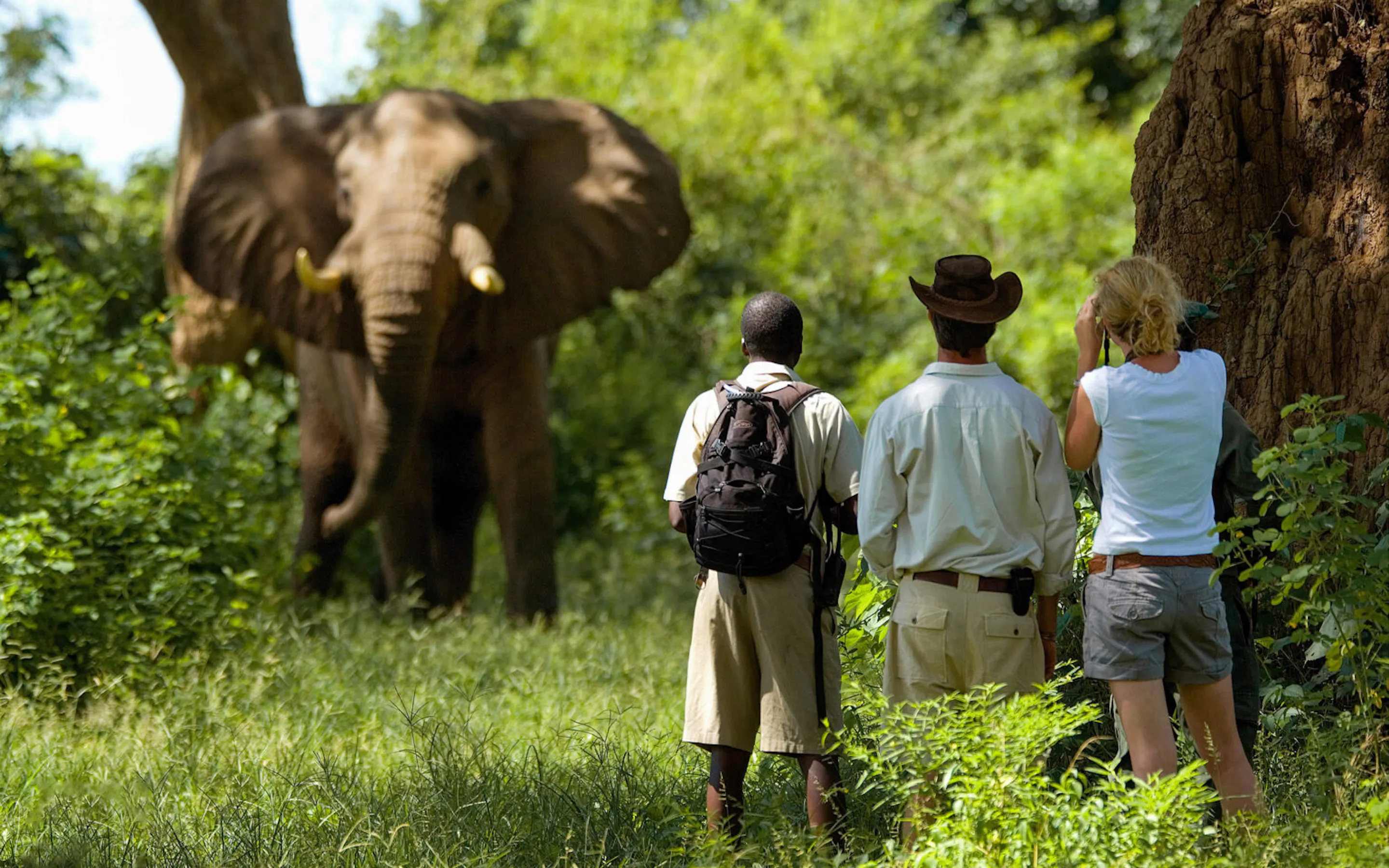 Safari guests watches elephants from a shaded point at Chongwe Camp, with wooded hills beyond the riverbank.