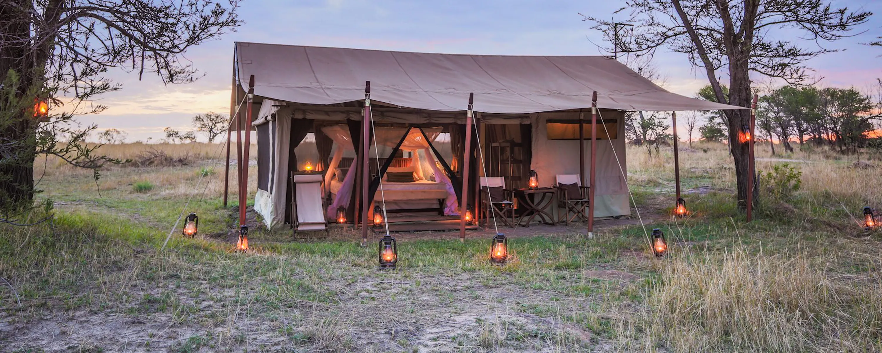 Mobile safari tent stands open in dry grassland, showing a canvas structure, with a bed and lanterns