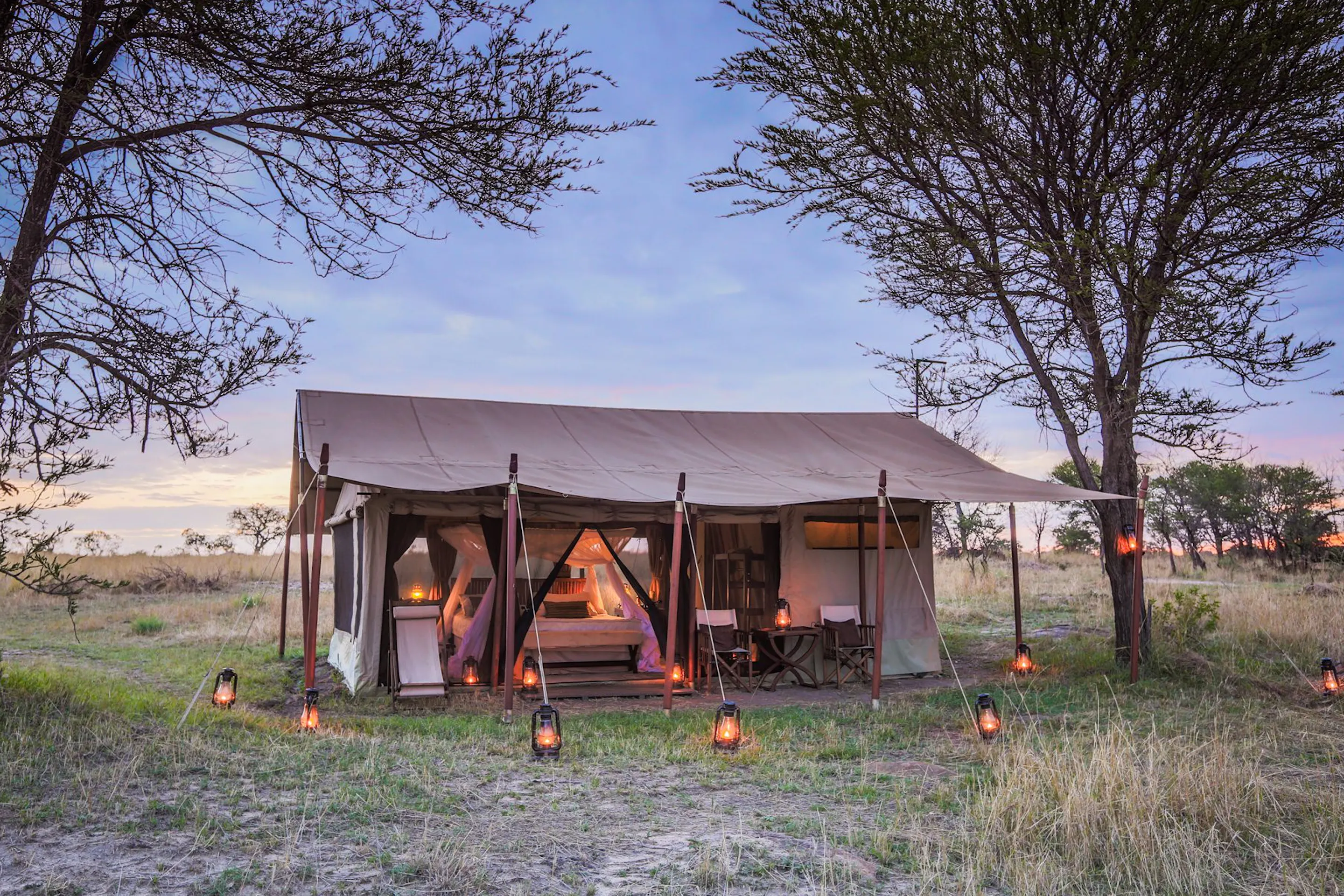 Mobile safari tent stands open in dry grassland, showing a canvas structure, with a bed and lanterns
