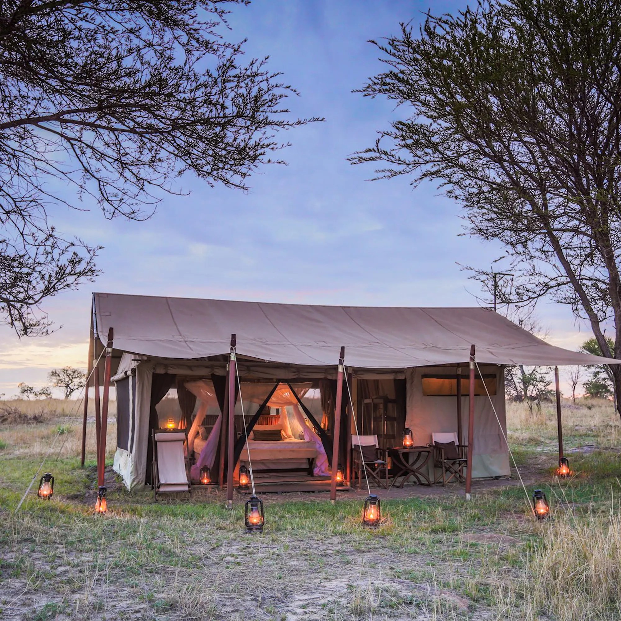 Mobile safari tent stands open in dry grassland, showing a canvas structure, with a bed and lanterns