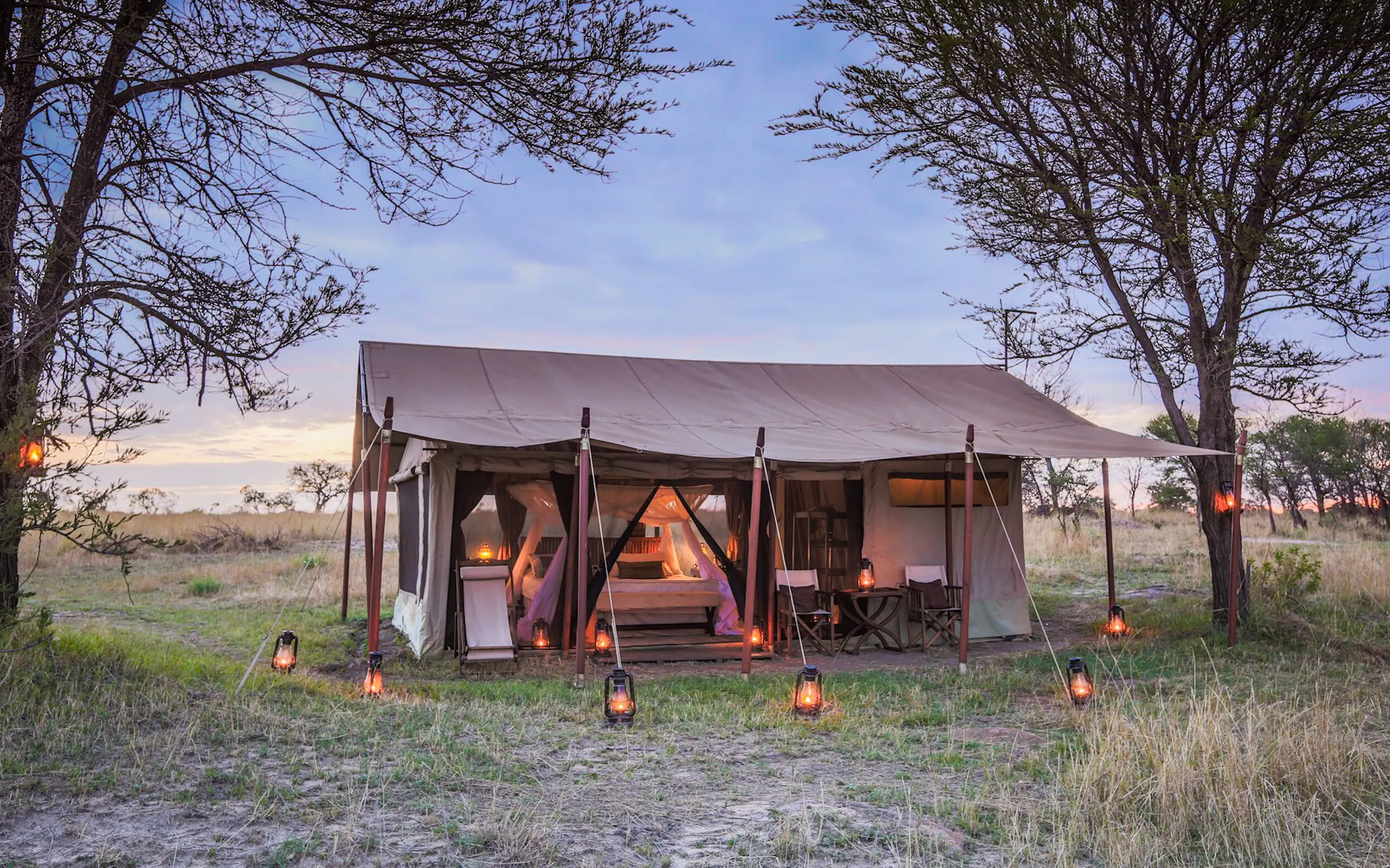 Mobile safari tent stands open in dry grassland, showing a canvas structure, with a bed and lanterns