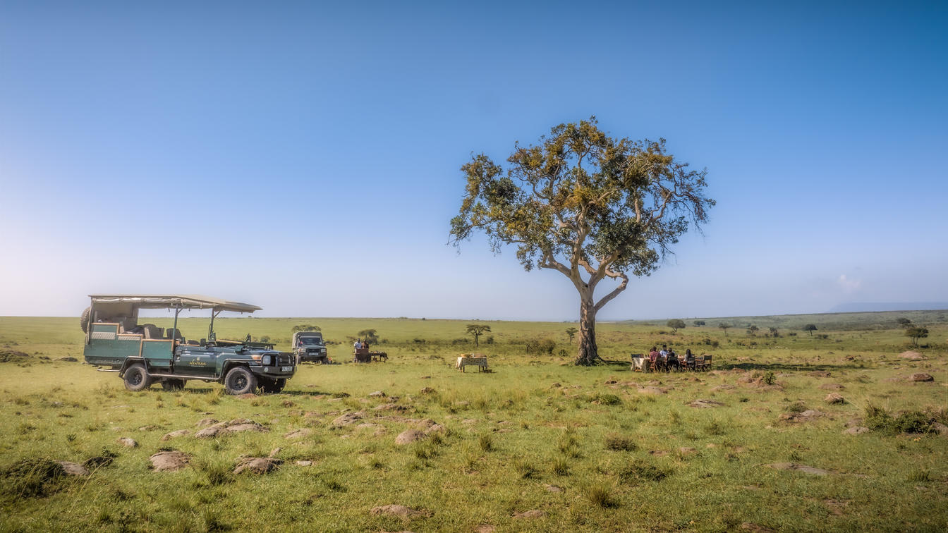 A bush breakfast sits beneath an acacia on open plains in Kenya's Maasai Mara, with chairs and tableware arranged.