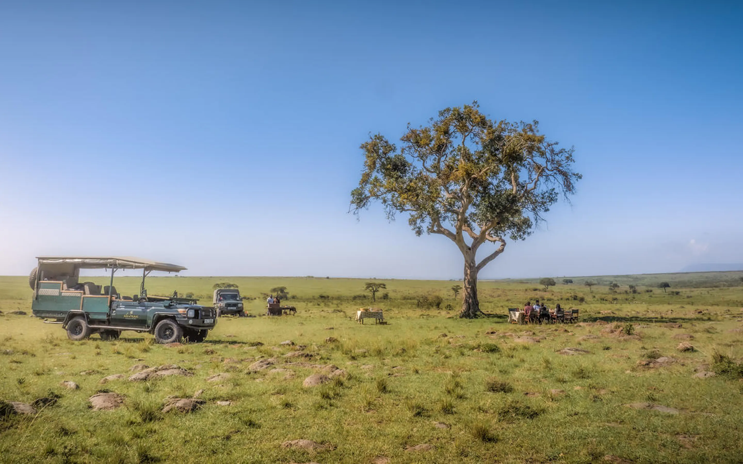 A bush breakfast sits beneath an acacia on open plains in Kenya's Maasai Mara, with chairs and tableware arranged.
