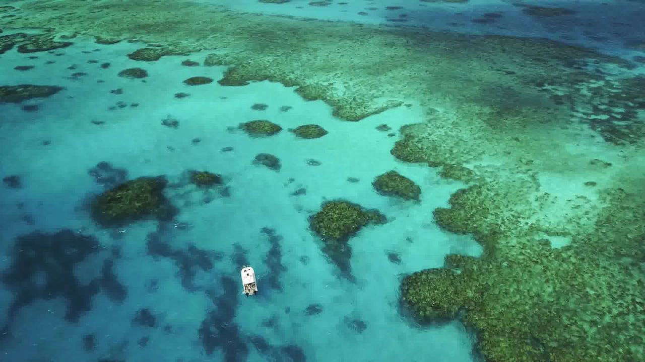 Aerial view of coral gardens and a narrow reef channel off the Great Barrier Reef, with a small boat below.