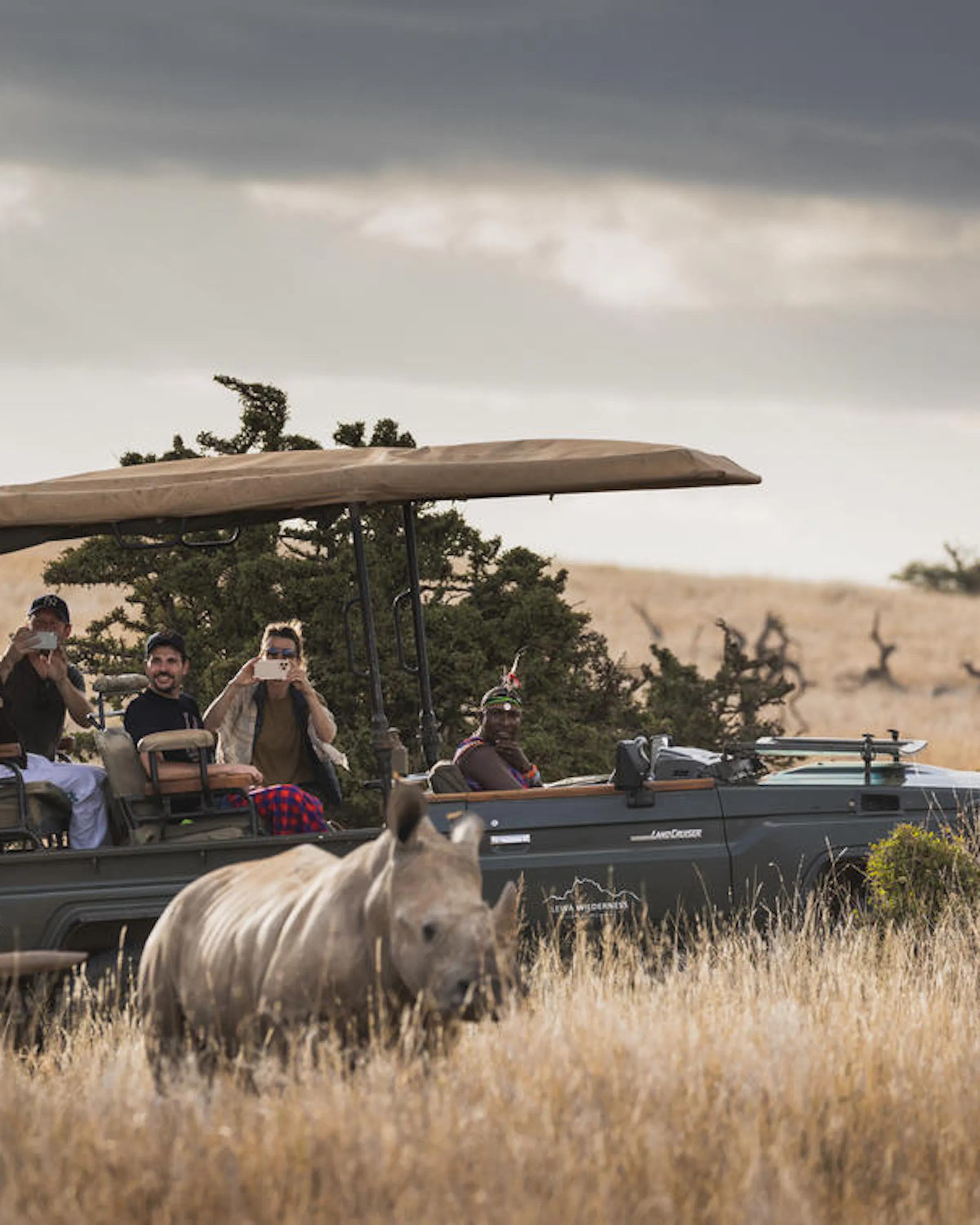 Safari guests photograph two rhinos from an open vehicle in dry grassland at Lewa, Kenya, under cloudy skies.