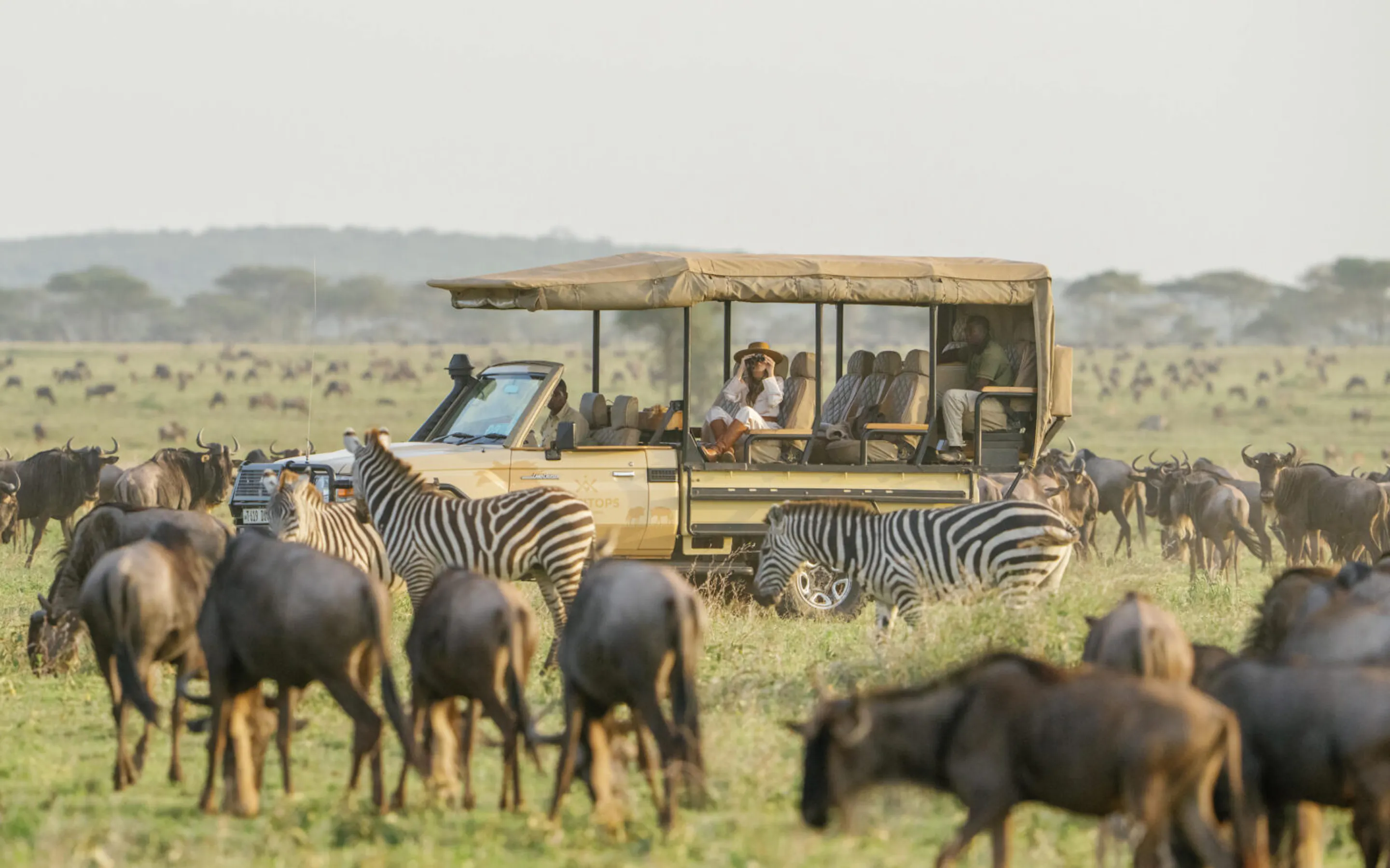 A safari vehicle crosses the open plains at Mara Bushtops, moving among grazing zebra and wildebeest under wide skies.