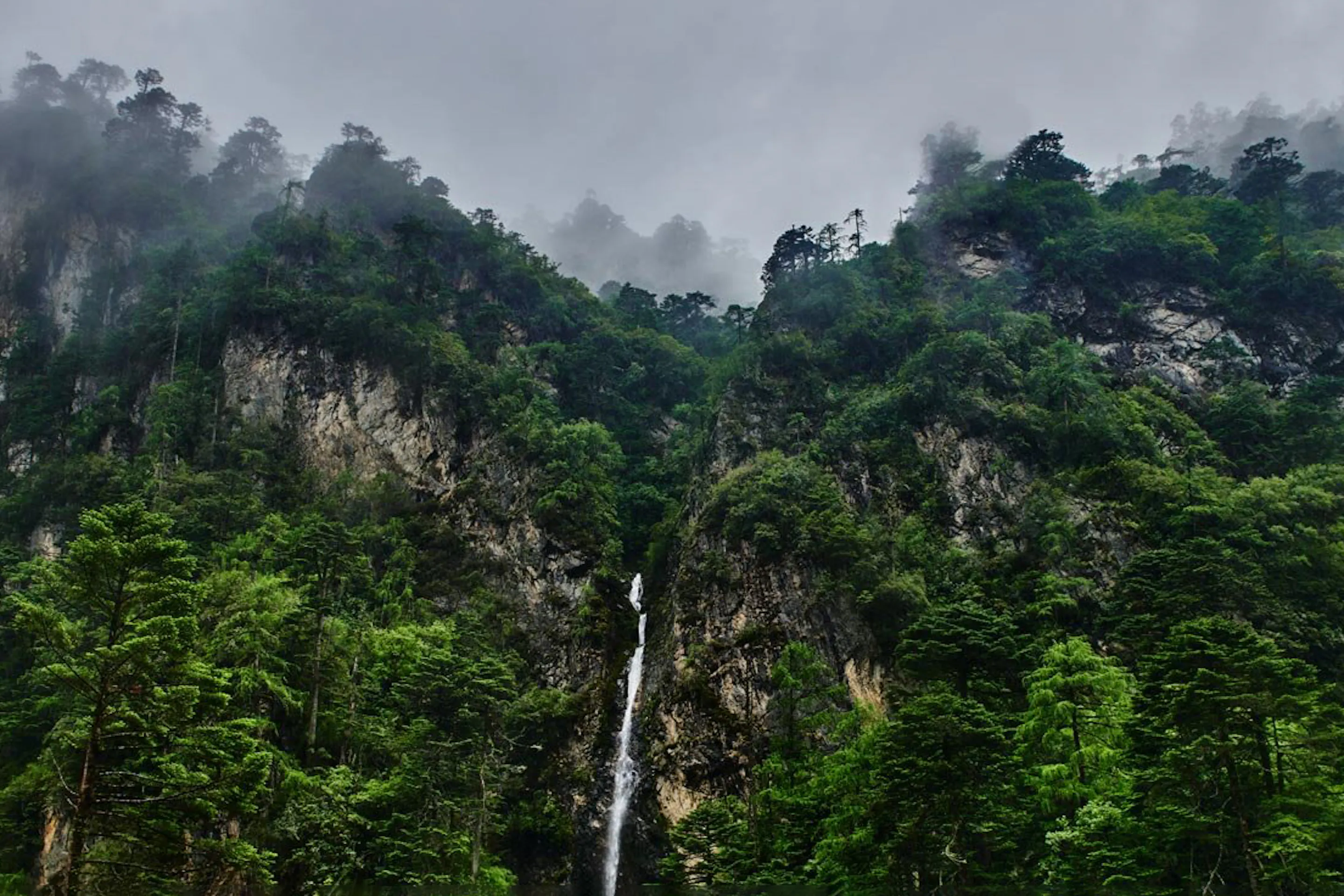 Mist drifts over forested cliffs and a narrow waterfall in Laya, Bhutan, beneath a low blanket of cloud.