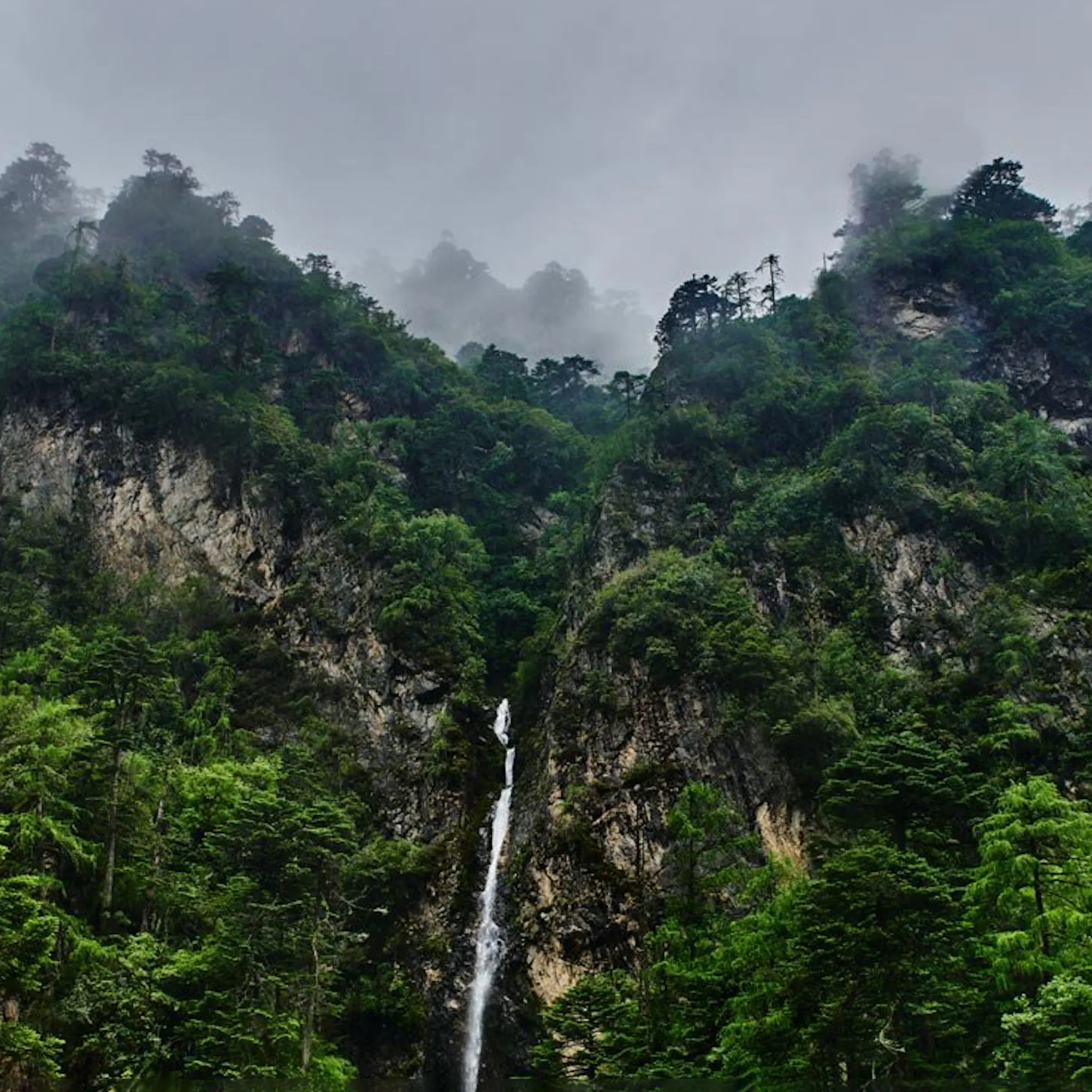 Mist drifts over forested cliffs and a narrow waterfall in Laya, Bhutan, beneath a low blanket of cloud.