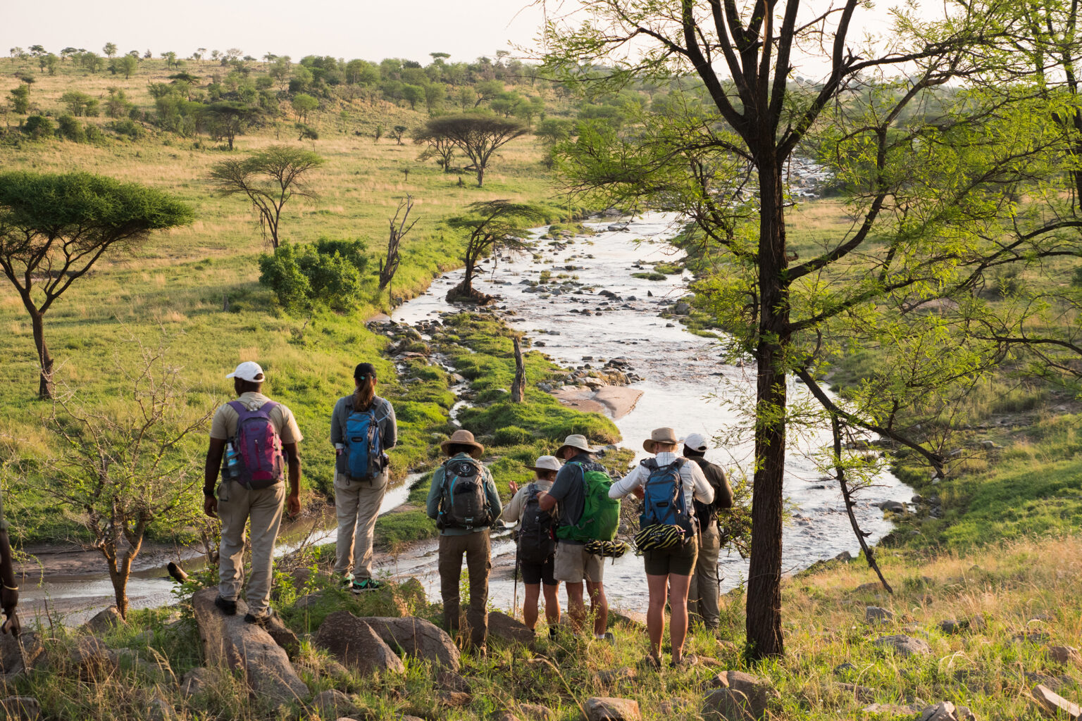 A walking safari group overlooking a winding river in the Serengeti against the backdrop of Tanzania's Serengeti.