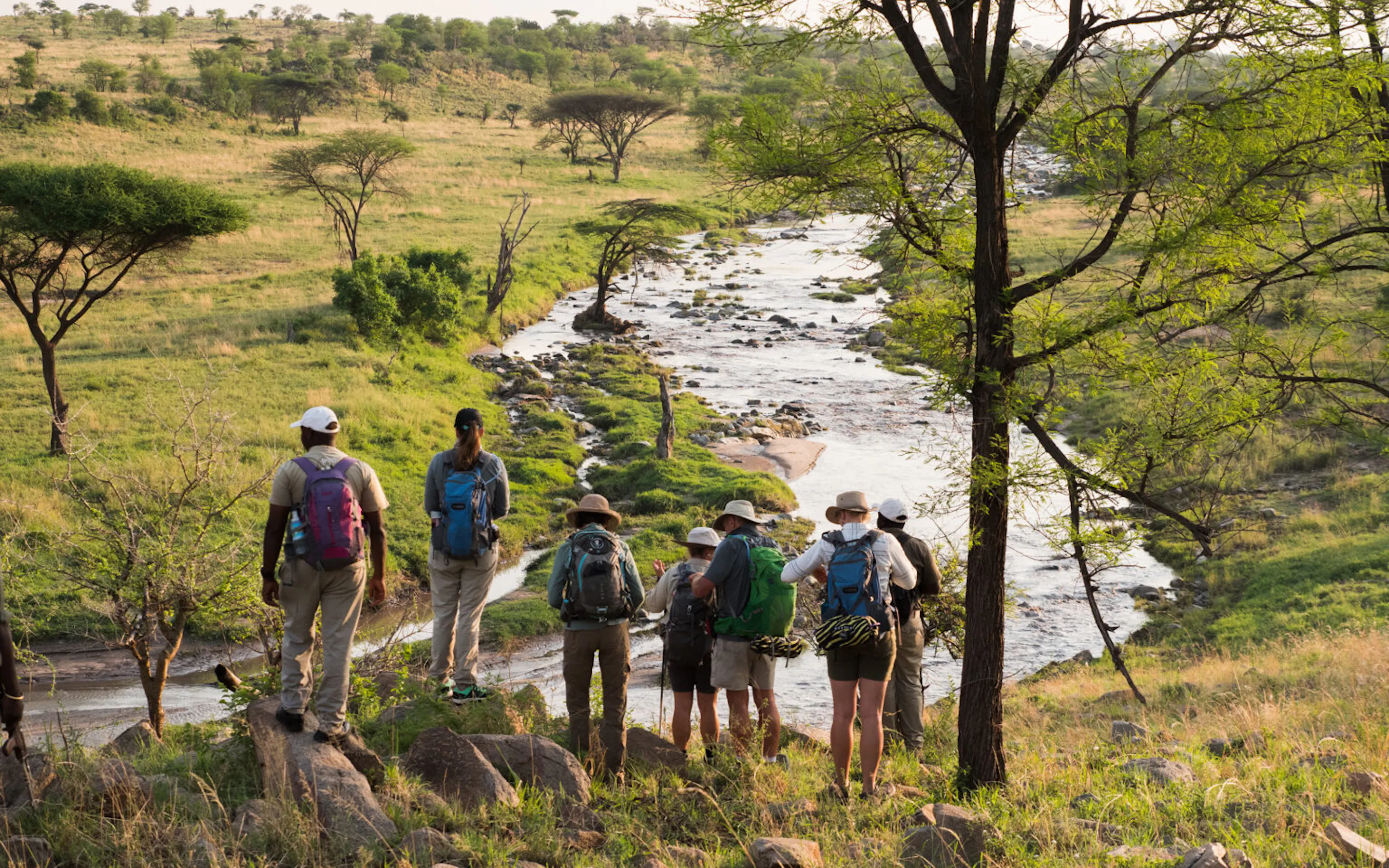 A walking safari group overlooking a winding river in the Serengeti against the backdrop of Tanzania's Serengeti.
