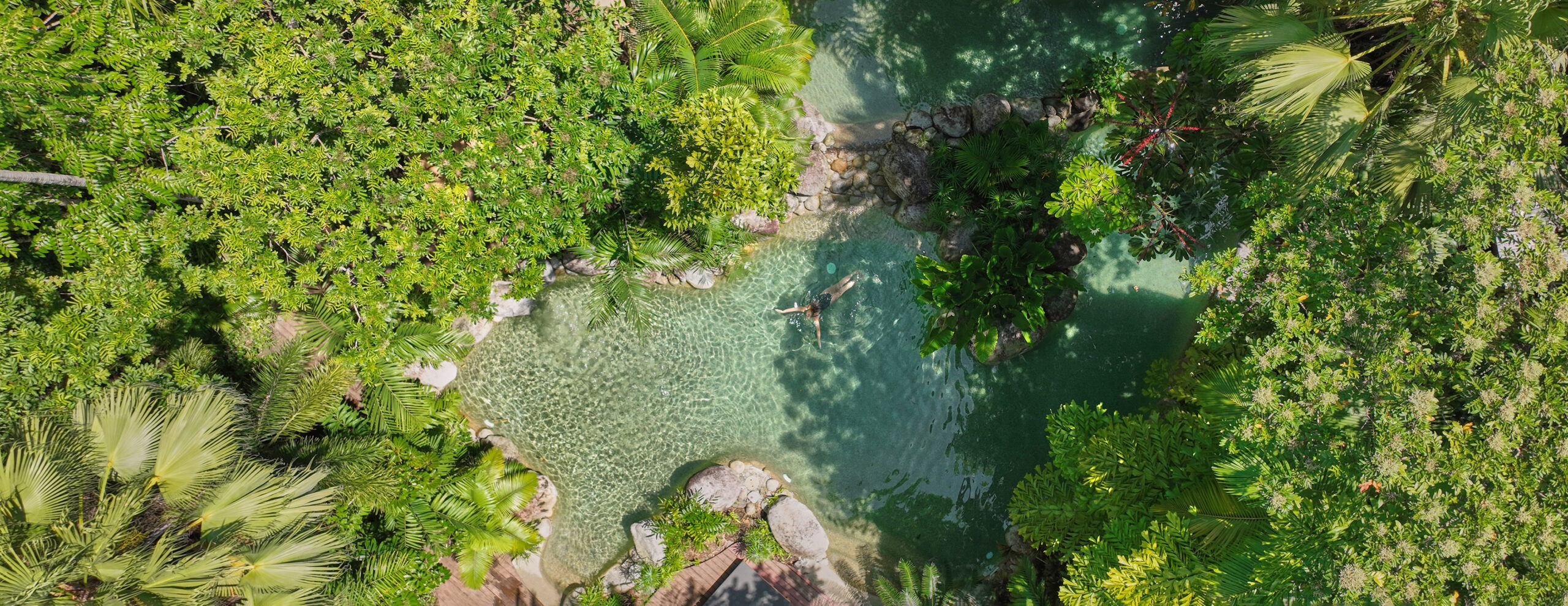 A sunlit pool curves through dense rainforest at Silky Oaks Lodge, with palms, ferns, and high canopy all around.
