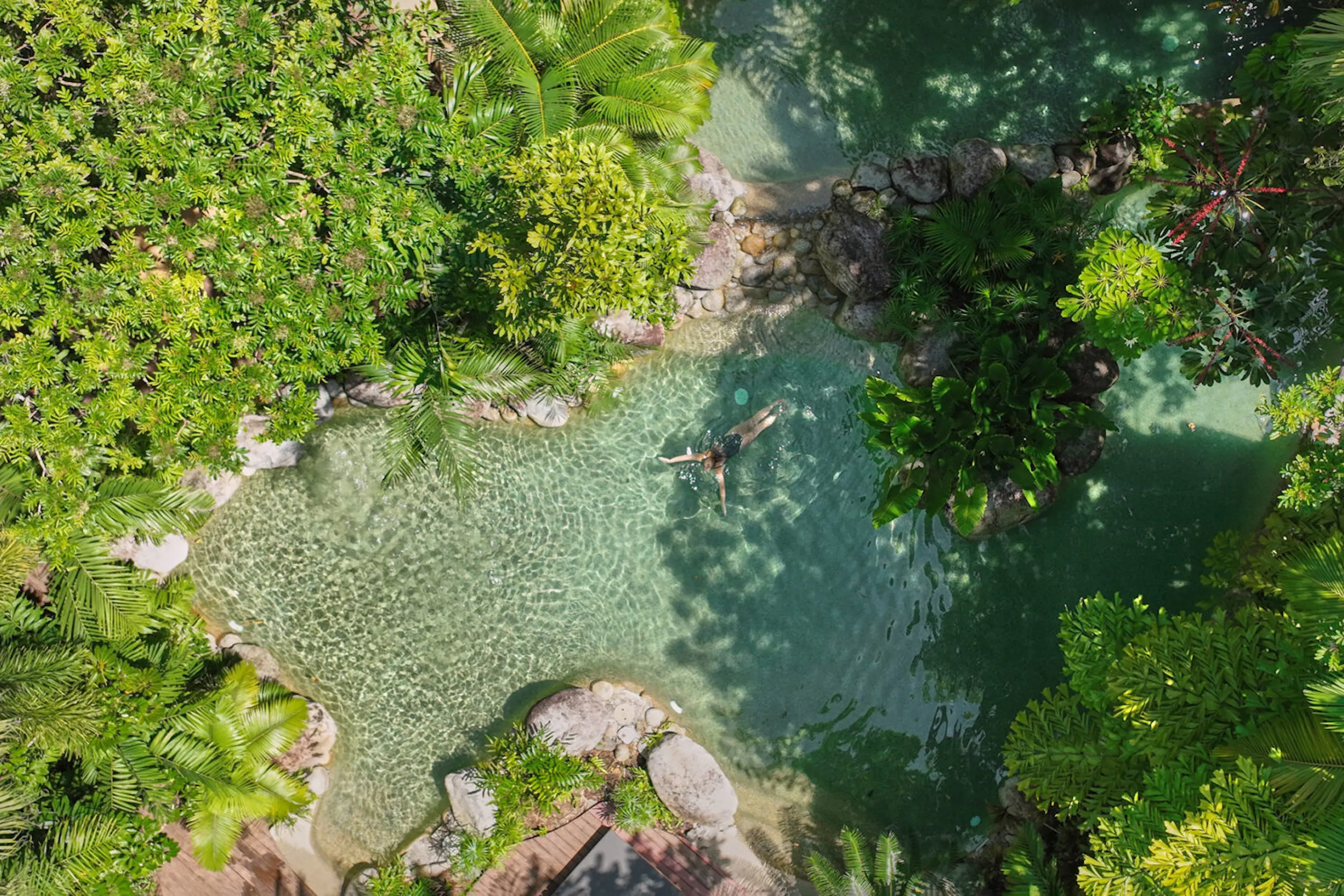 A sunlit pool curves through dense rainforest at Silky Oaks Lodge, with palms, ferns, and high canopy all around.