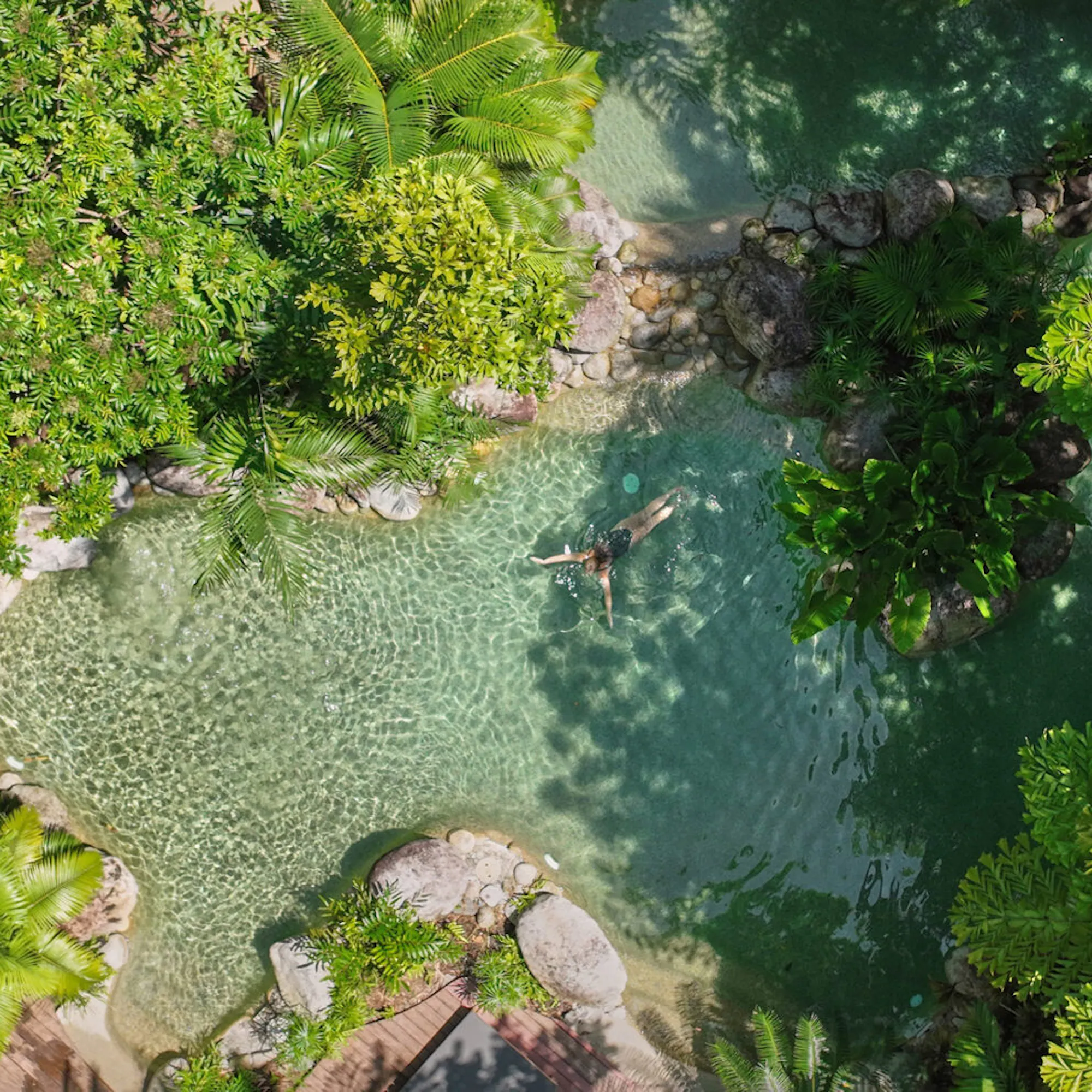 A sunlit pool curves through dense rainforest at Silky Oaks Lodge, with palms, ferns, and high canopy all around.