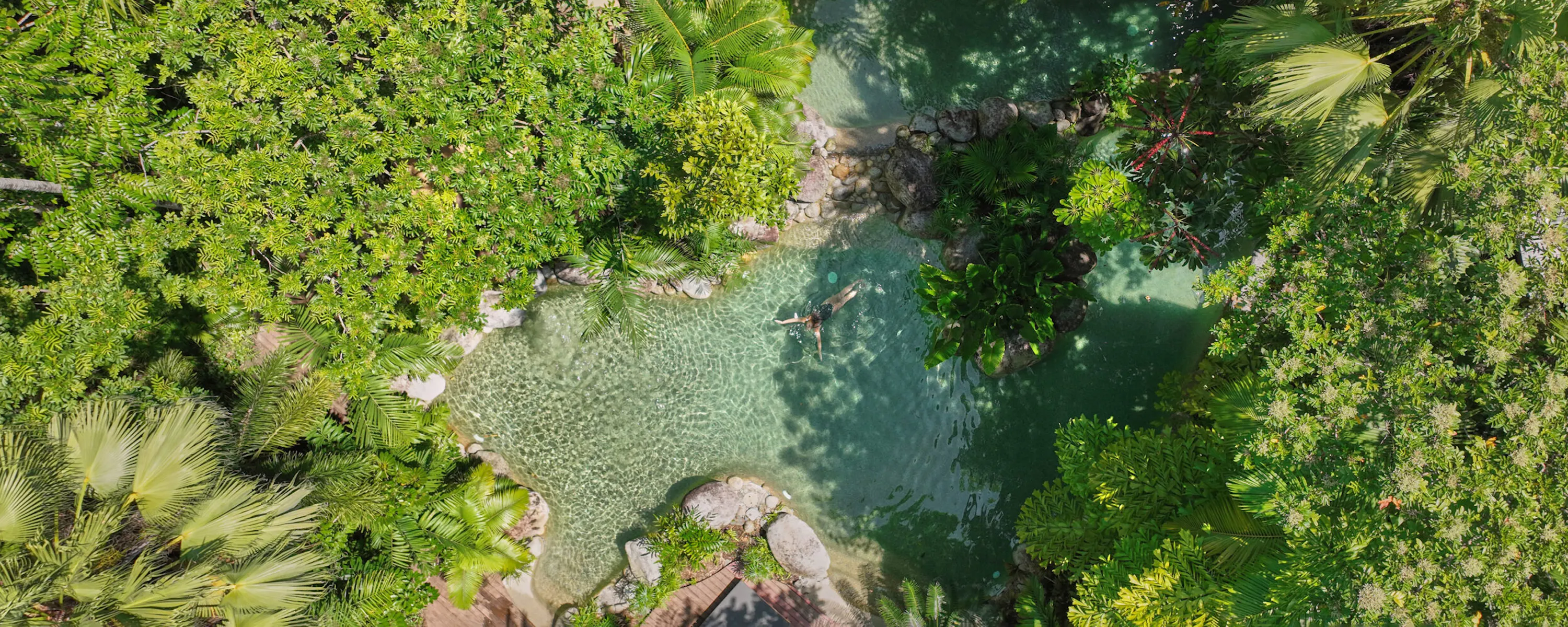 A sunlit pool curves through dense rainforest at Silky Oaks Lodge, with palms, ferns, and high canopy all around.