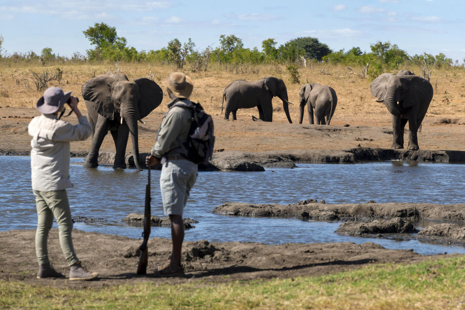 Travelers photograph elephants at a waterhole at Somalisa Expeditions in Zimbabwe's Hwange, with dry grass around them.