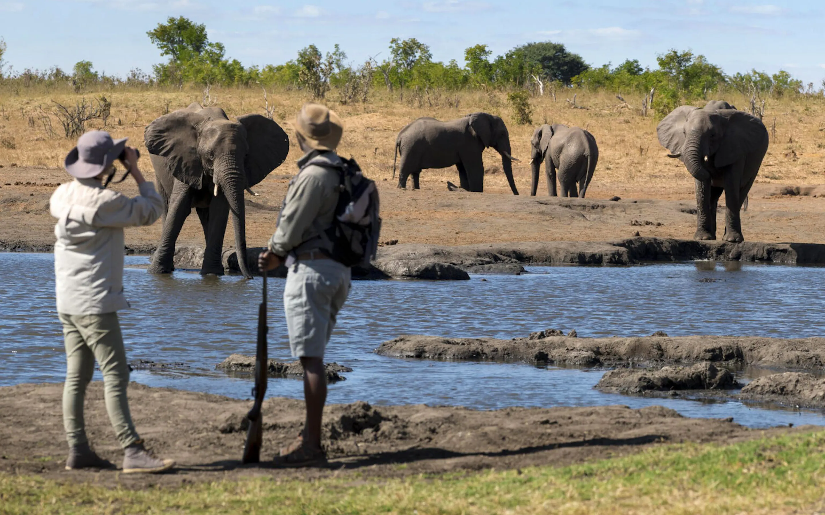 Travelers photograph elephants at a waterhole at Somalisa Expeditions in Zimbabwe's Hwange, with dry grass around them.
