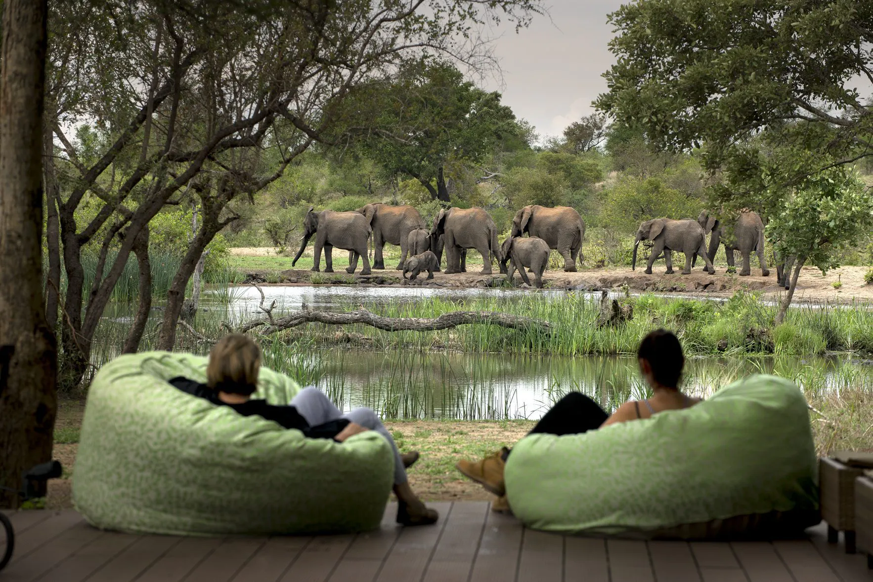 Guests lounge on beanbags beside a waterhole at Tanda Tula, watching elephants gather beyond the deck at dusk.