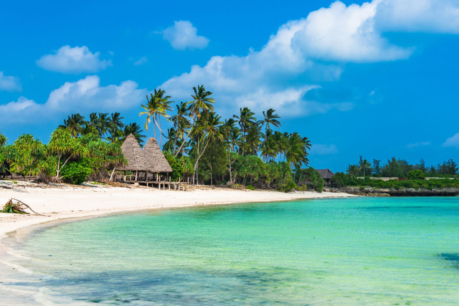 A white sand beach in Zanzibar curves beside turquoise water and palms, with a bright horizon in the distance.