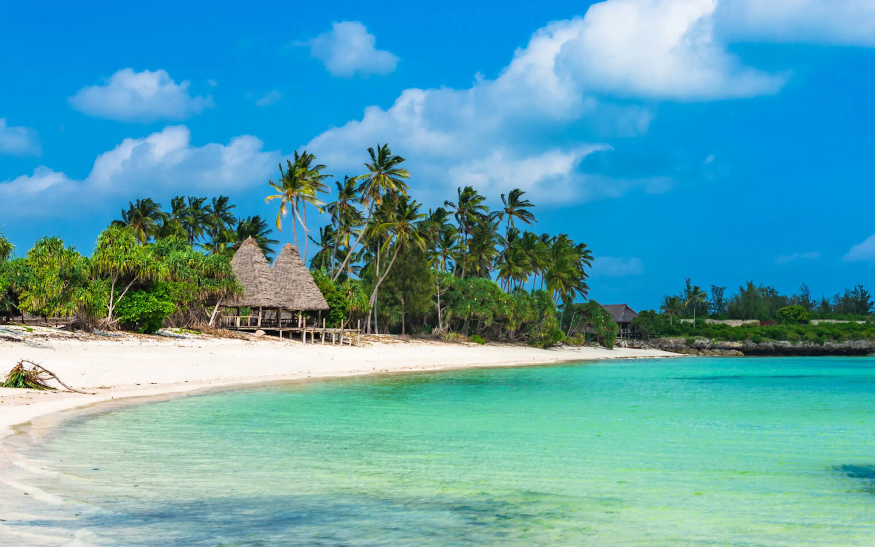 A white sand beach in Zanzibar curves beside turquoise water and palms, with a bright horizon in the distance.