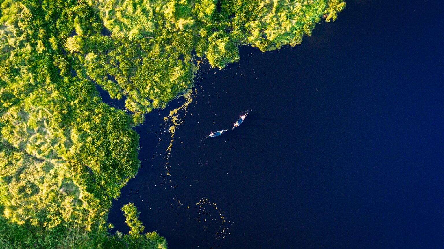 Two canoes drift through dark river channels in the Pantanal, surrounded by vivid green forest seen from above.