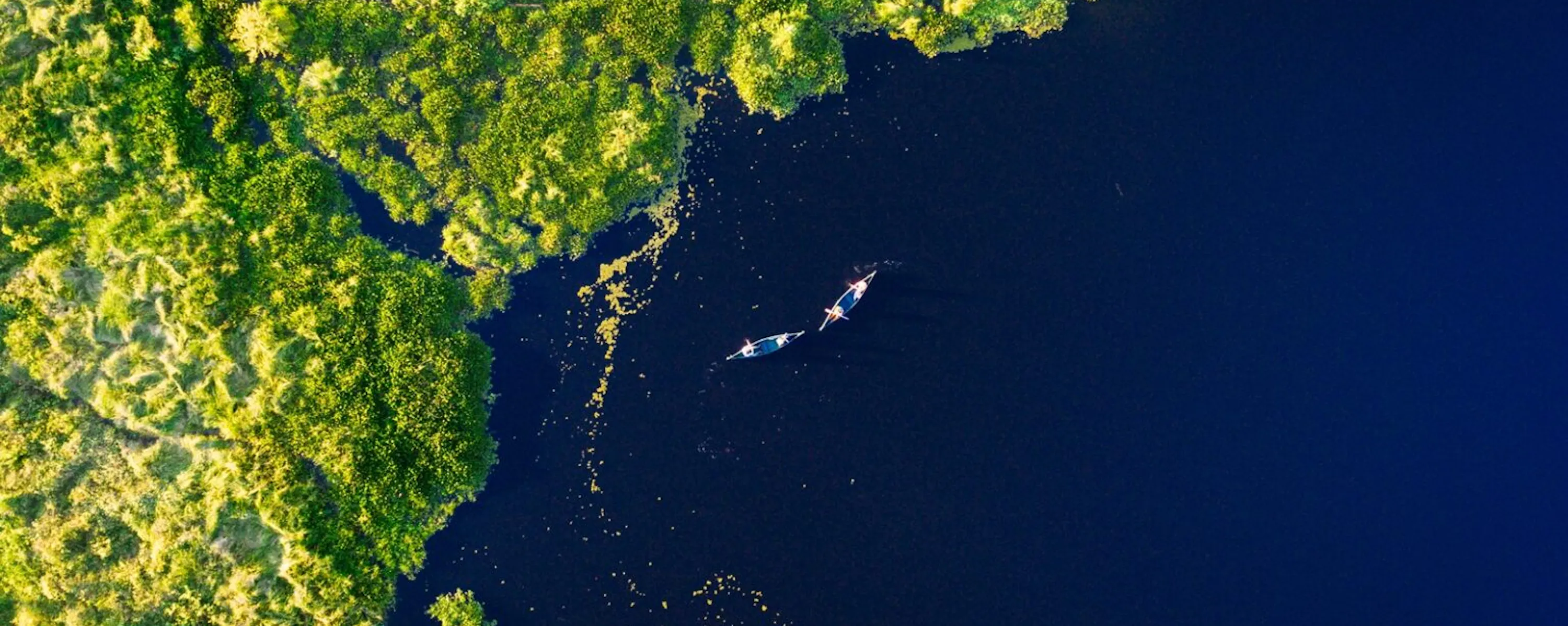 Two canoes drift through dark river channels in the Pantanal, surrounded by vivid green forest seen from above.