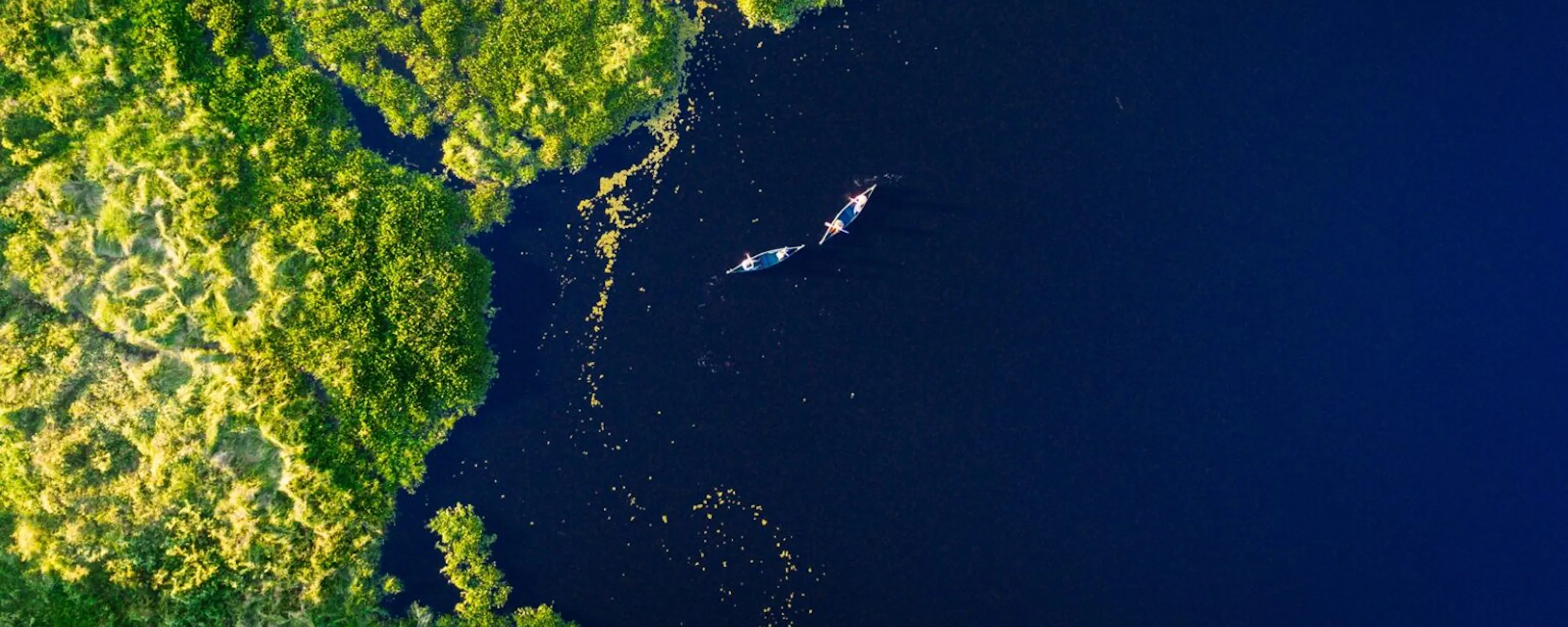 Two canoes drift through dark river channels in the Pantanal, surrounded by vivid green forest seen from above.