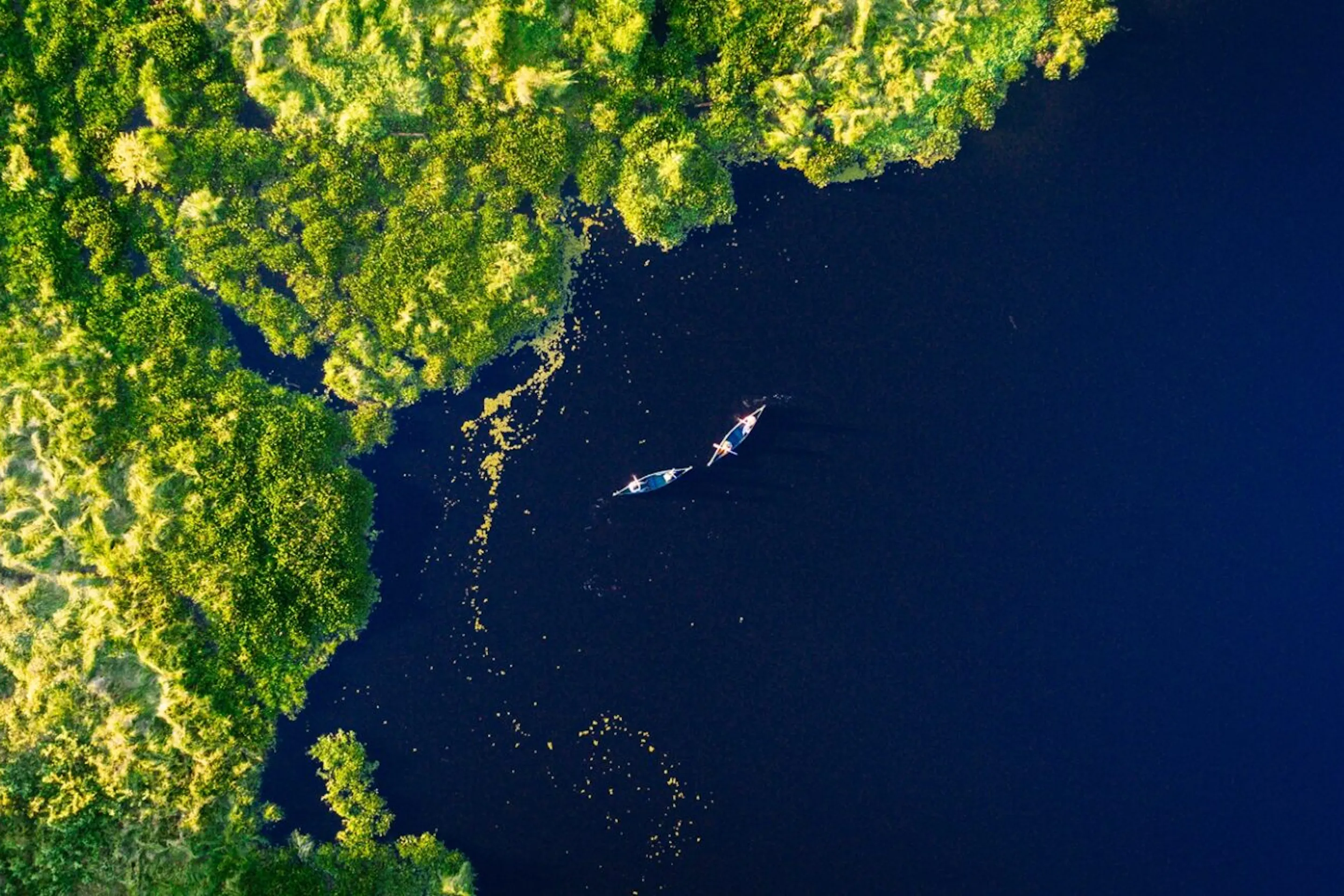 Two canoes drift through dark river channels in the Pantanal, surrounded by vivid green forest seen from above.