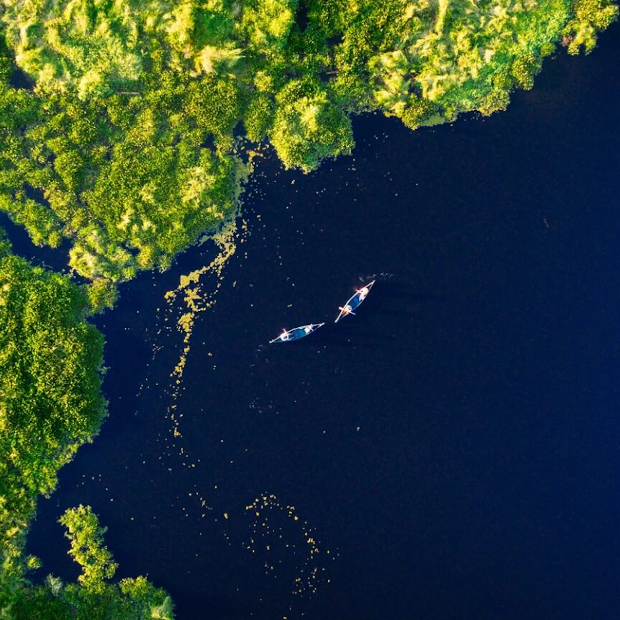 Two canoes drift through dark river channels in the Pantanal, surrounded by vivid green forest seen from above.