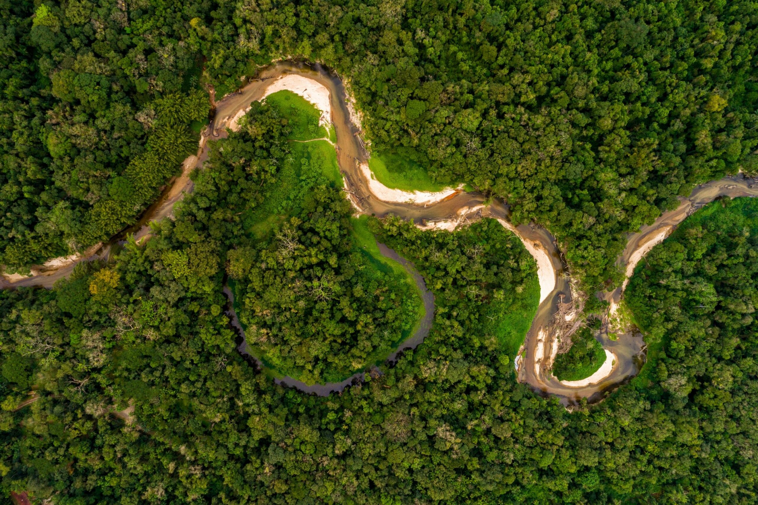 A winding river cuts through dense Amazon rainforest, seen from above in rich green canopy and dark brown water.