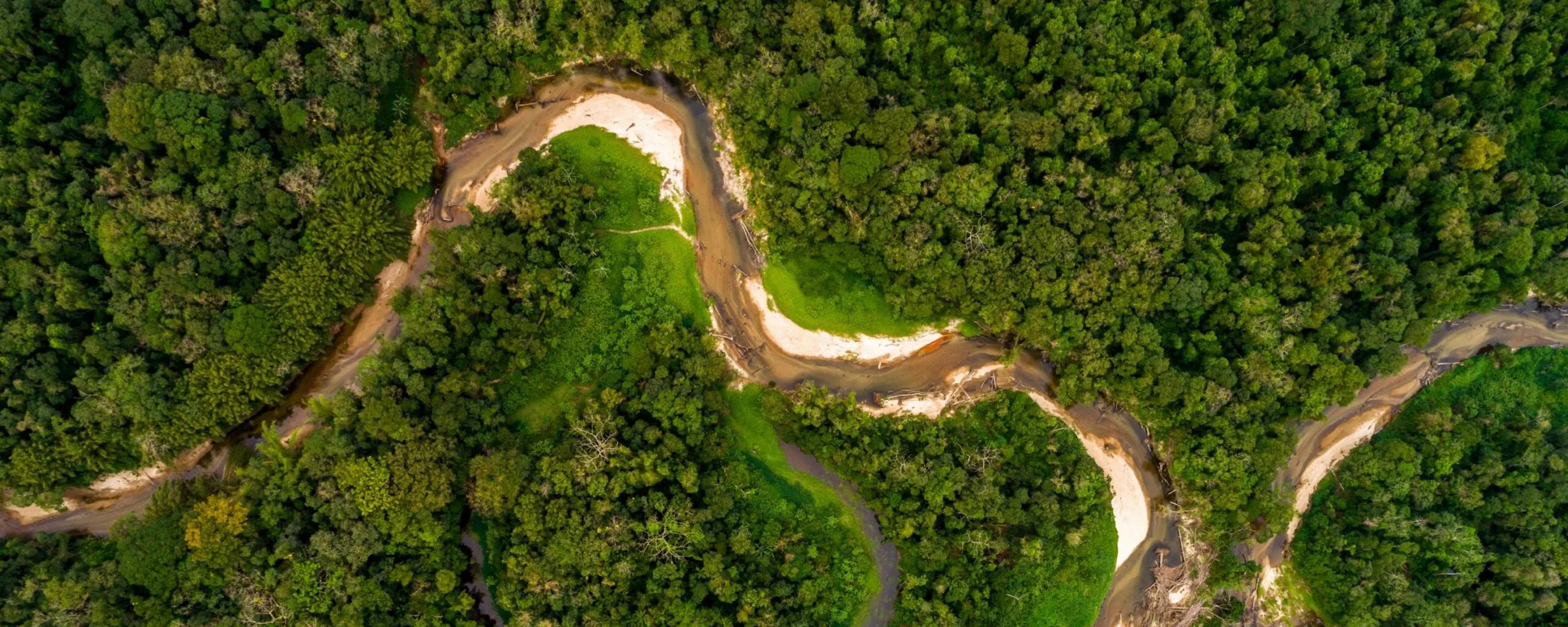 A winding river cuts through dense Amazon rainforest, seen from above in rich green canopy and dark brown water.