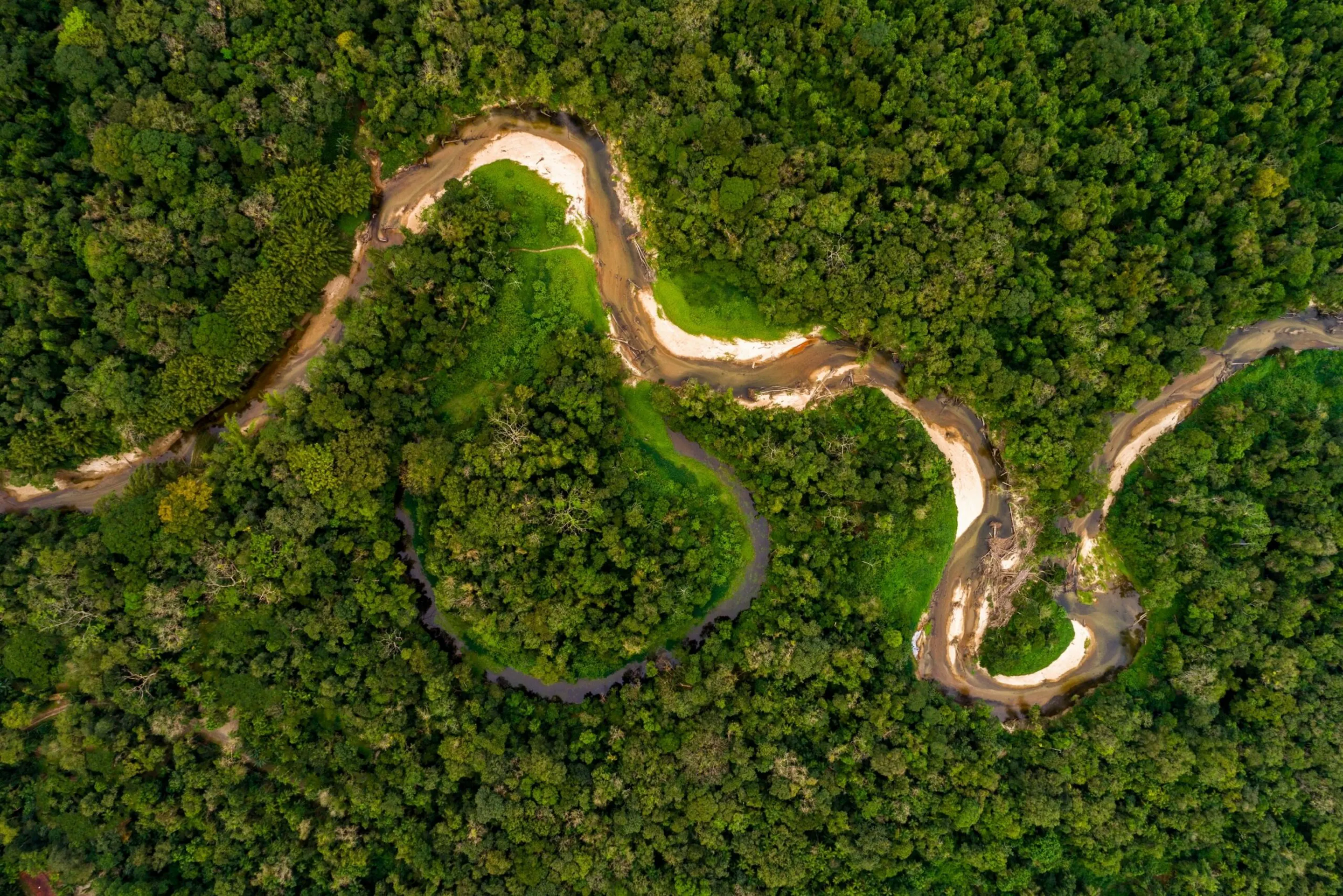 A winding river cuts through dense Amazon rainforest, seen from above in rich green canopy and dark brown water.