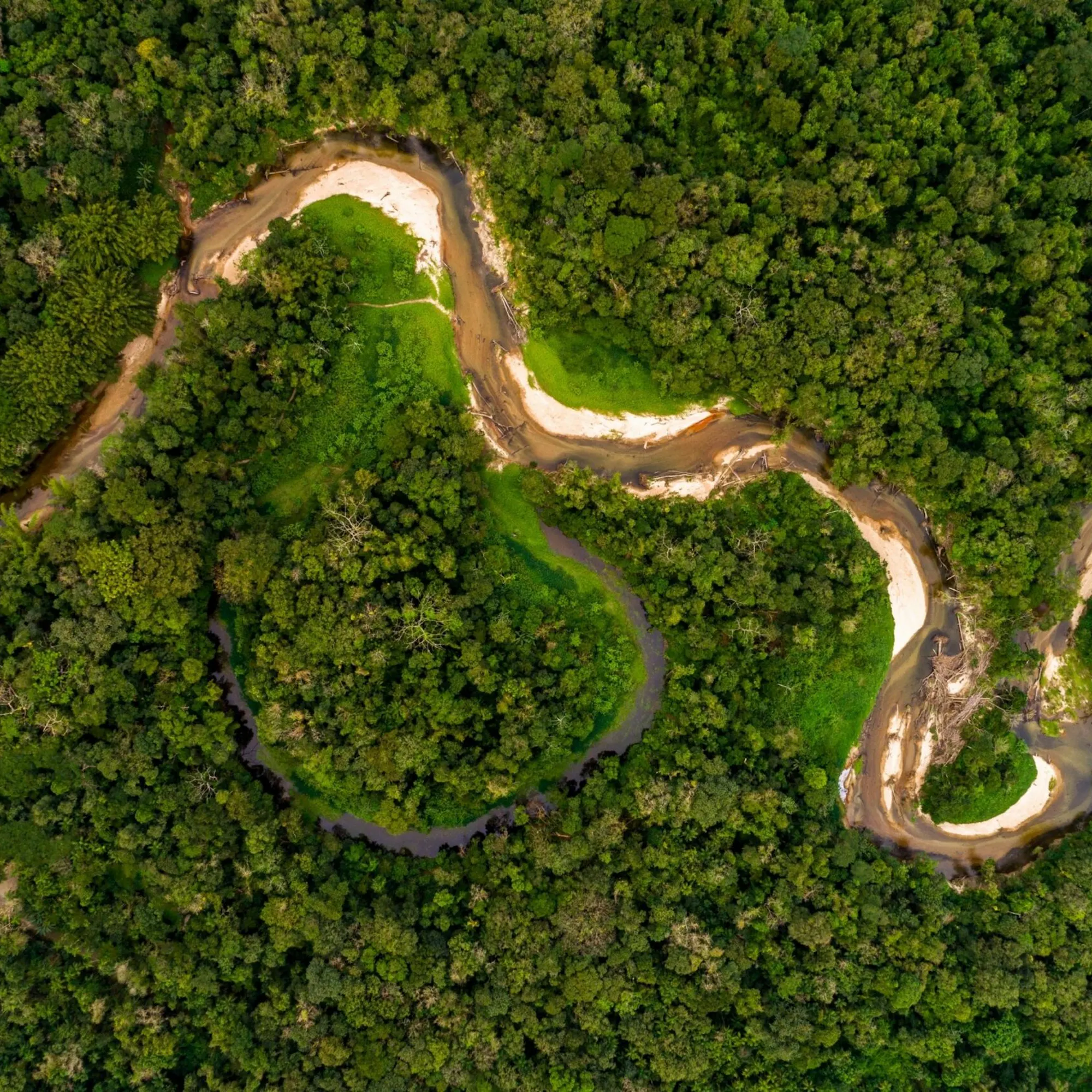 A winding river cuts through dense Amazon rainforest, seen from above in rich green canopy and dark brown water.