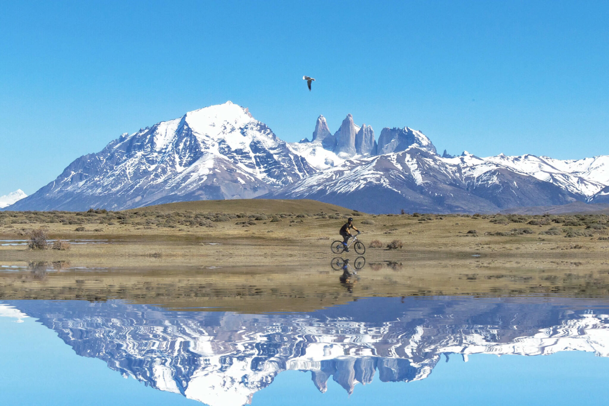 Snow-dusted Torres del Paine peaks reflect in a still lake, while small birds dot the foreground quiet shore and cyclist enjoys the views