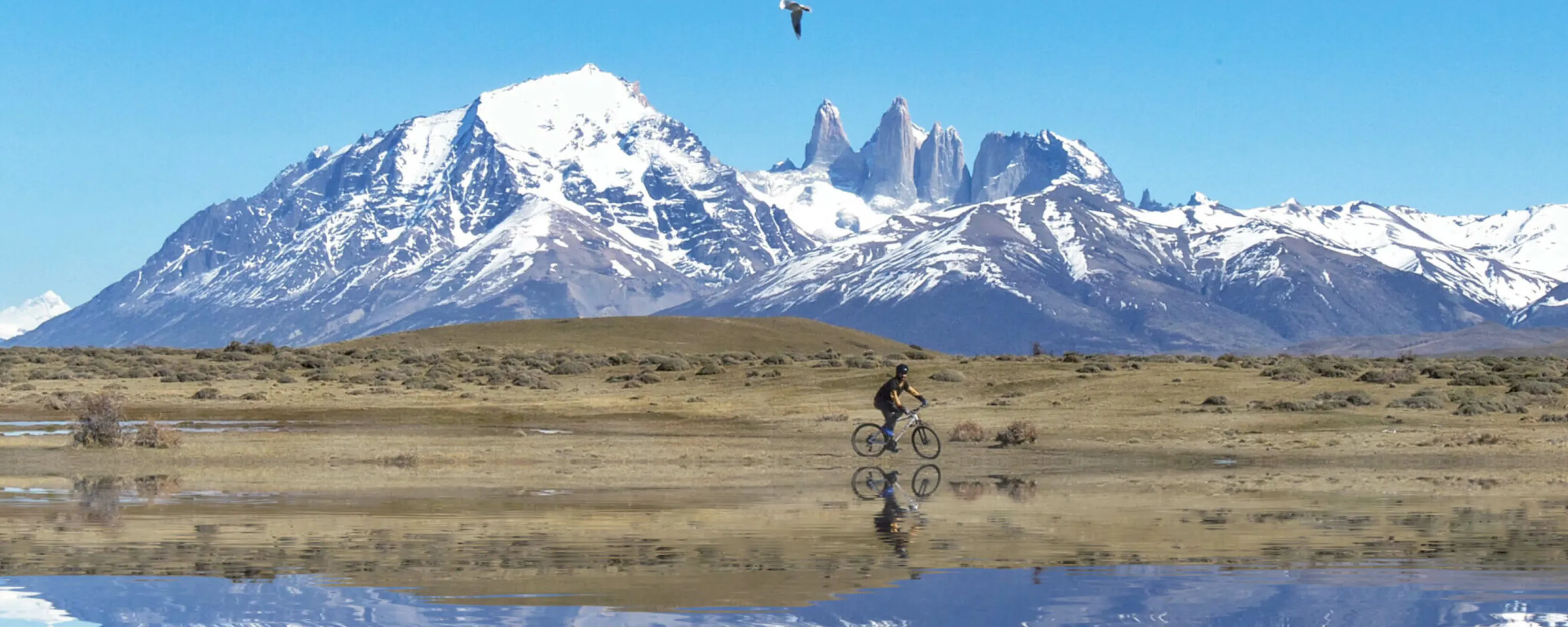 Snow-dusted Torres del Paine peaks reflect in a still lake, while small birds dot the foreground quiet shore and cyclist enjoys the views