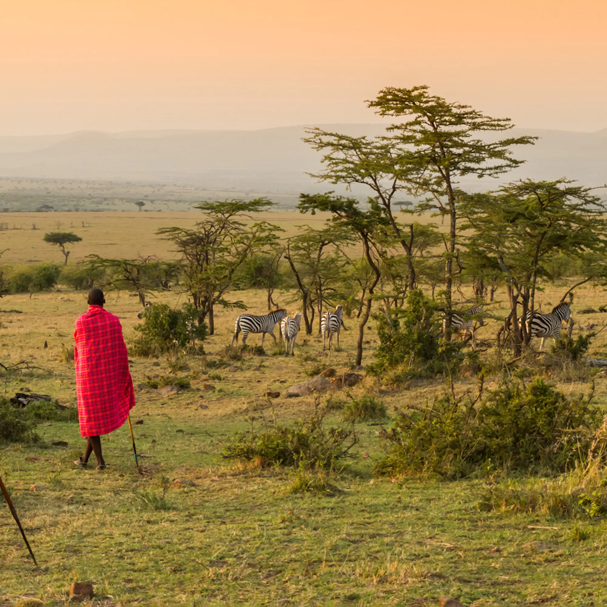 Two Maasai stand above Kenya's open plains, looking across golden grass under a dramatic sky near the Mara.