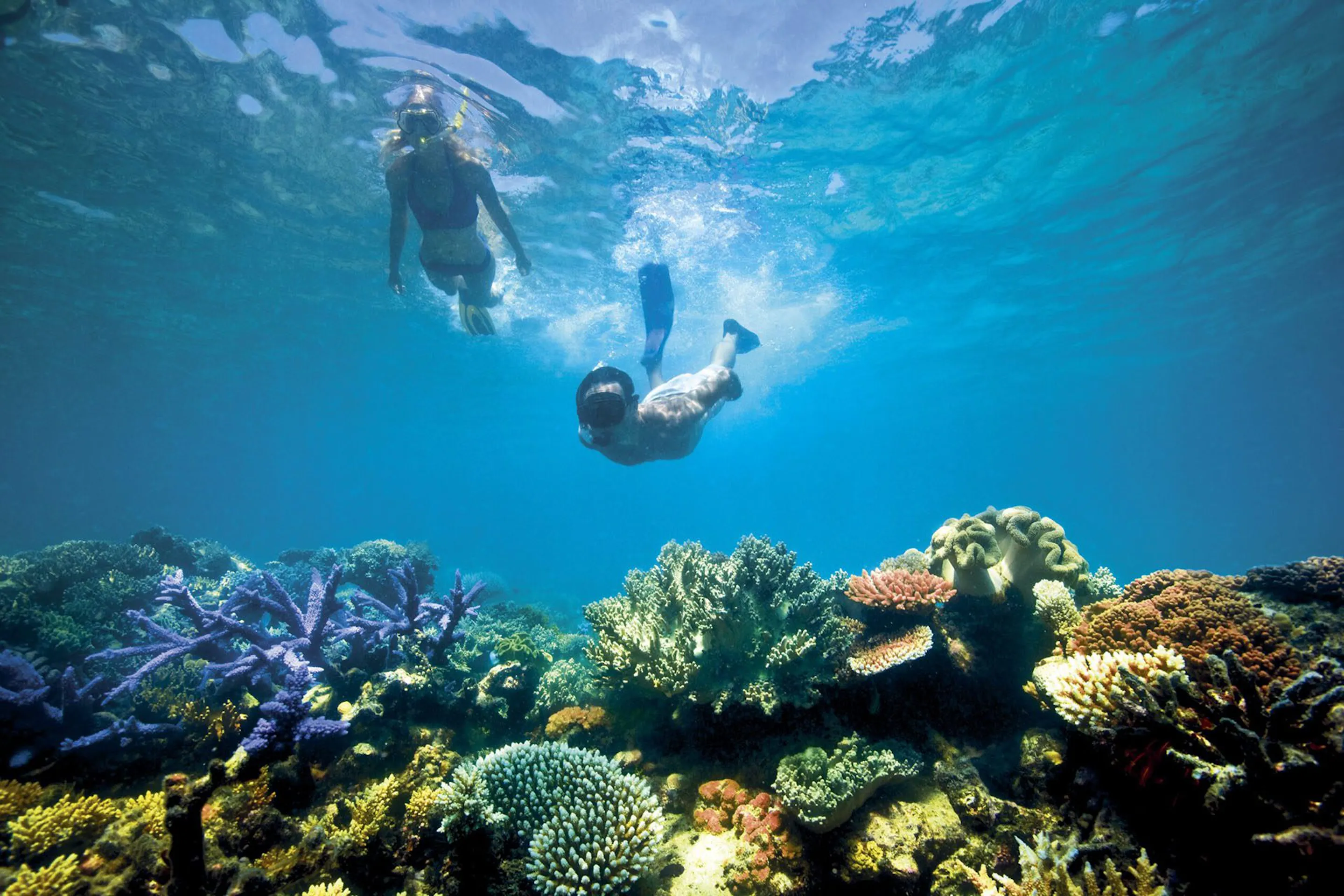 A snorkeler floats above vivid coral and turquoise water off Lizard Island on the Great Barrier Reef in Queensland.