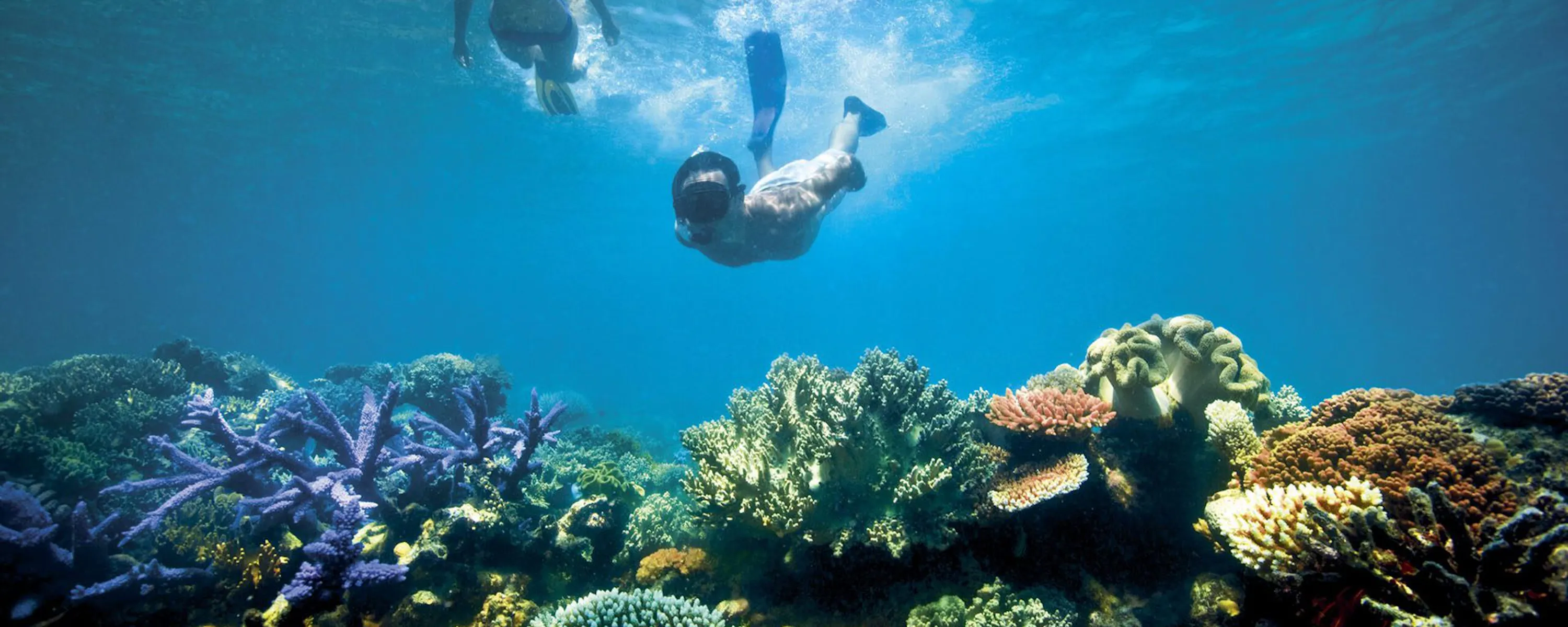 A snorkeler floats above vivid coral and turquoise water off Lizard Island on the Great Barrier Reef in Queensland.