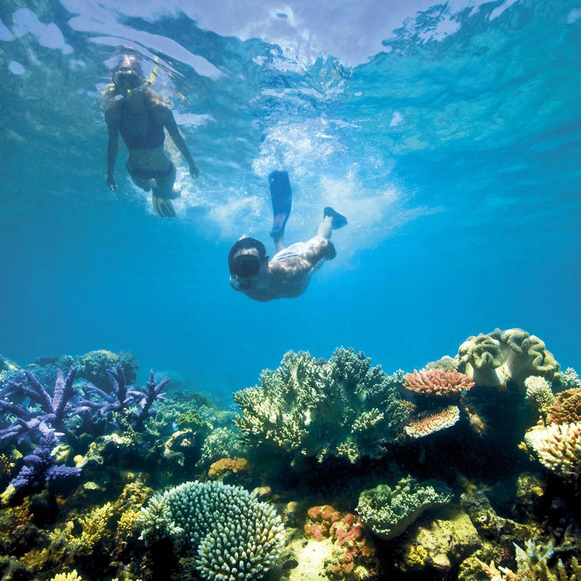 A snorkeler floats above vivid coral and turquoise water off Lizard Island on the Great Barrier Reef in Queensland.